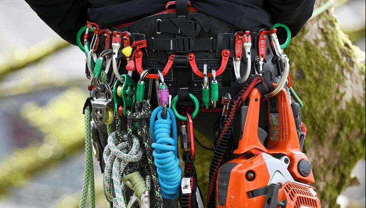 DMM harness tools featuring various carabiners and ropes, essential for tree surgeons in arborist work.