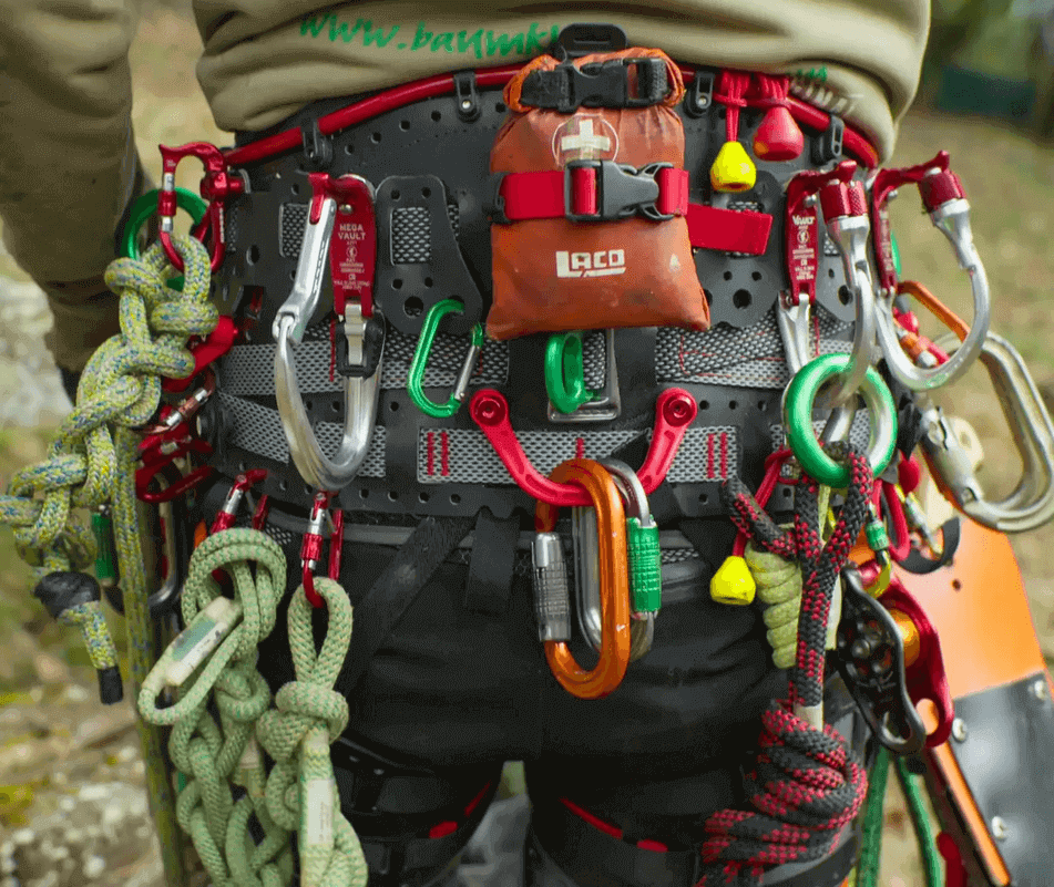 DMM Harnesses featuring carabiners and ropes used by tree surgeons for climbing operations.