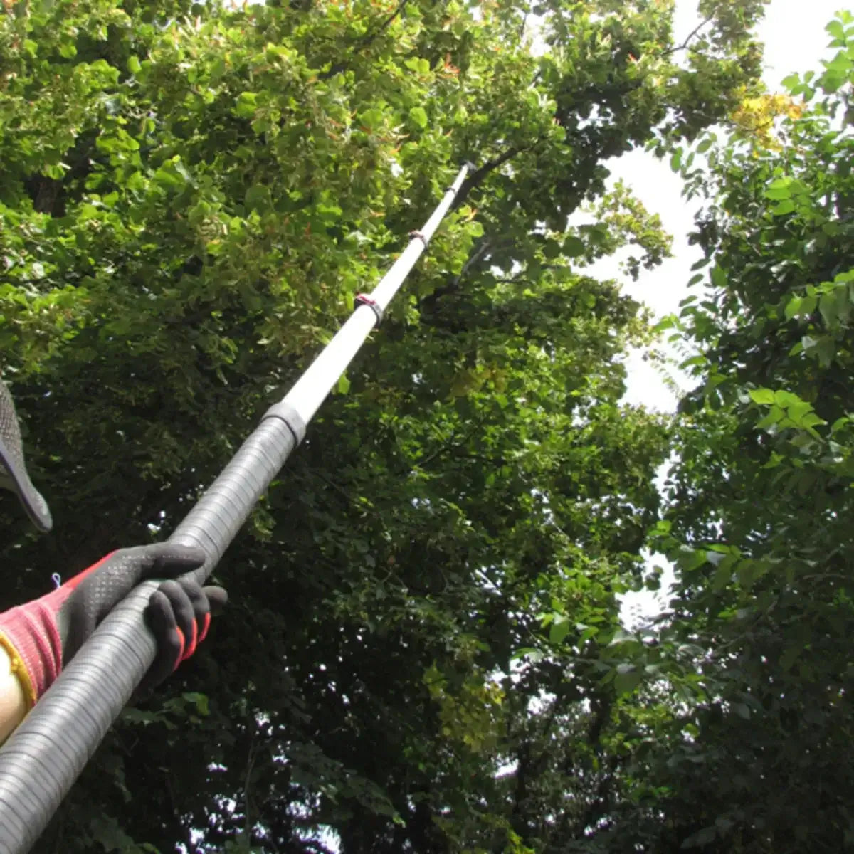 A person using a telescopic pole saw to prune tree branches, highlighting its long reach for safe tree surgery.