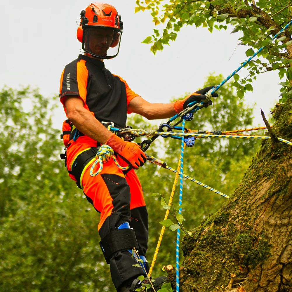 Tree surgeon wearing PPE and harness, preparing climbing rope in a forested area.