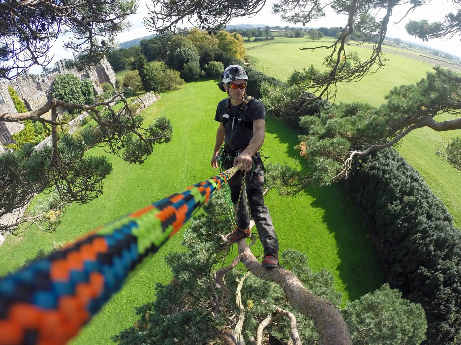 Tree surgeon using ropes by the metre for tree climbing & rigging in a green field.