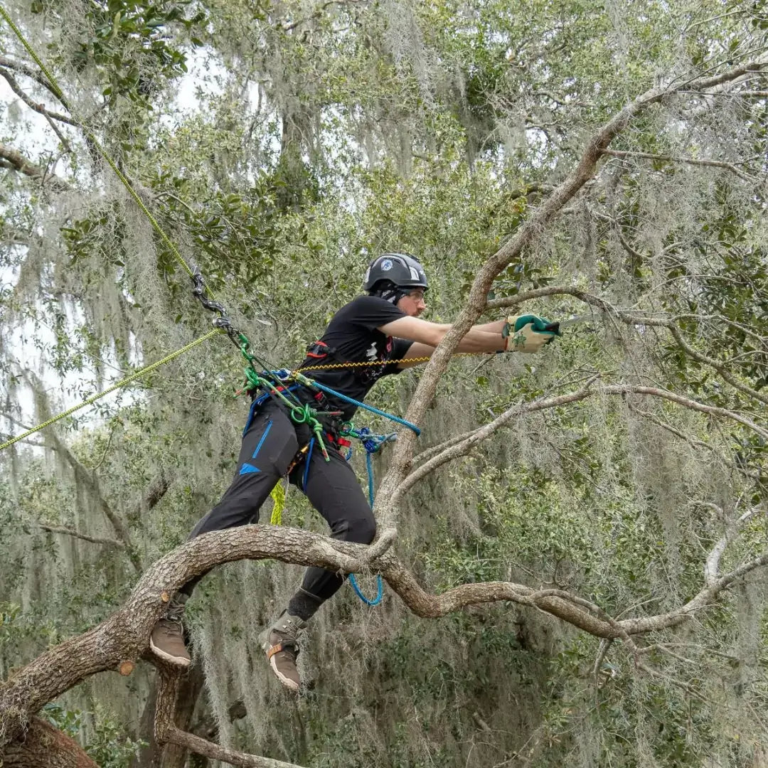 Tree surgeon using rope lanyard for safety while climbing in a tree, demonstrating work positioning.