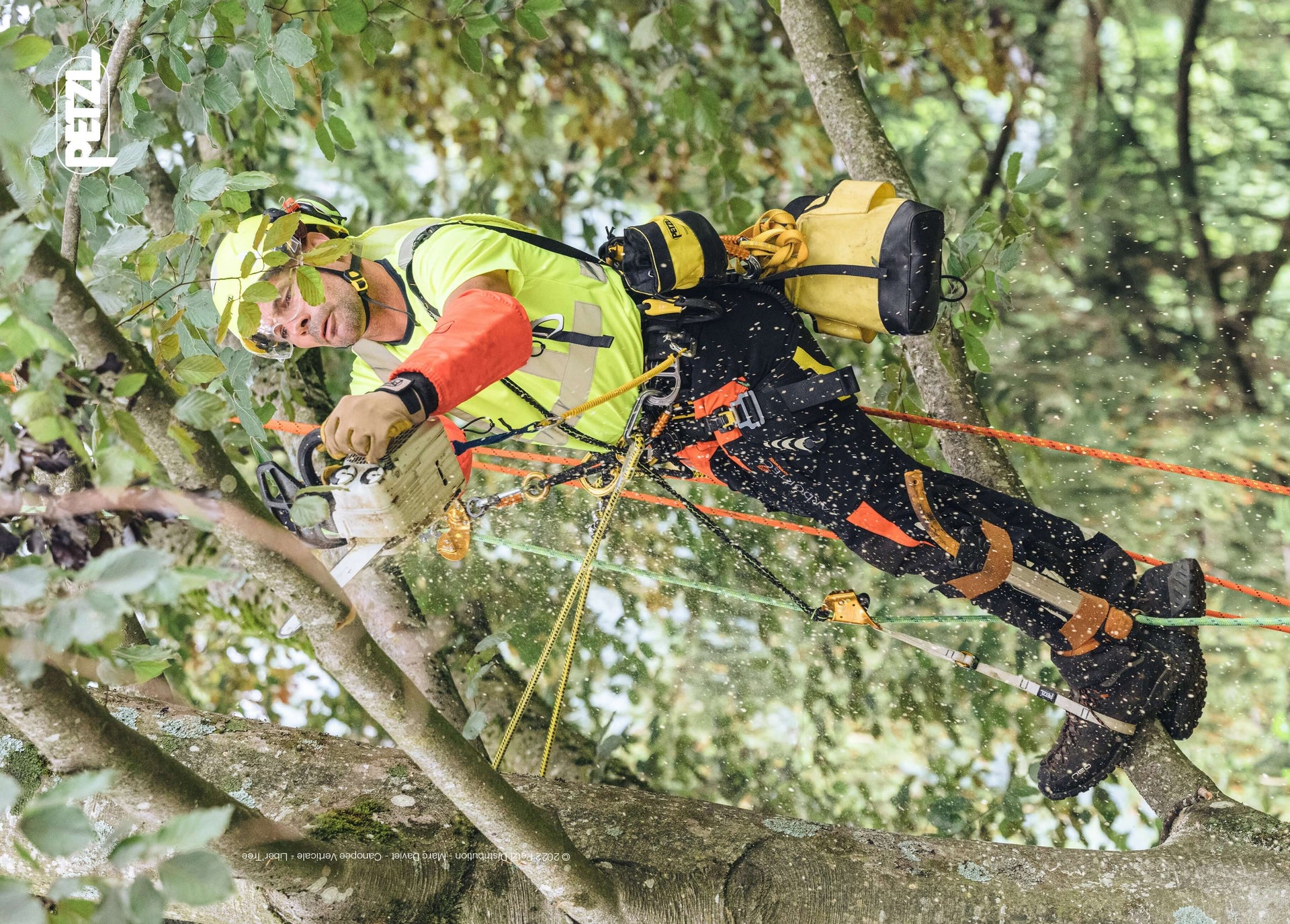 Tree surgeon using Petzl climbing equipment while pruning branches in a tree, showcasing safety and precision.