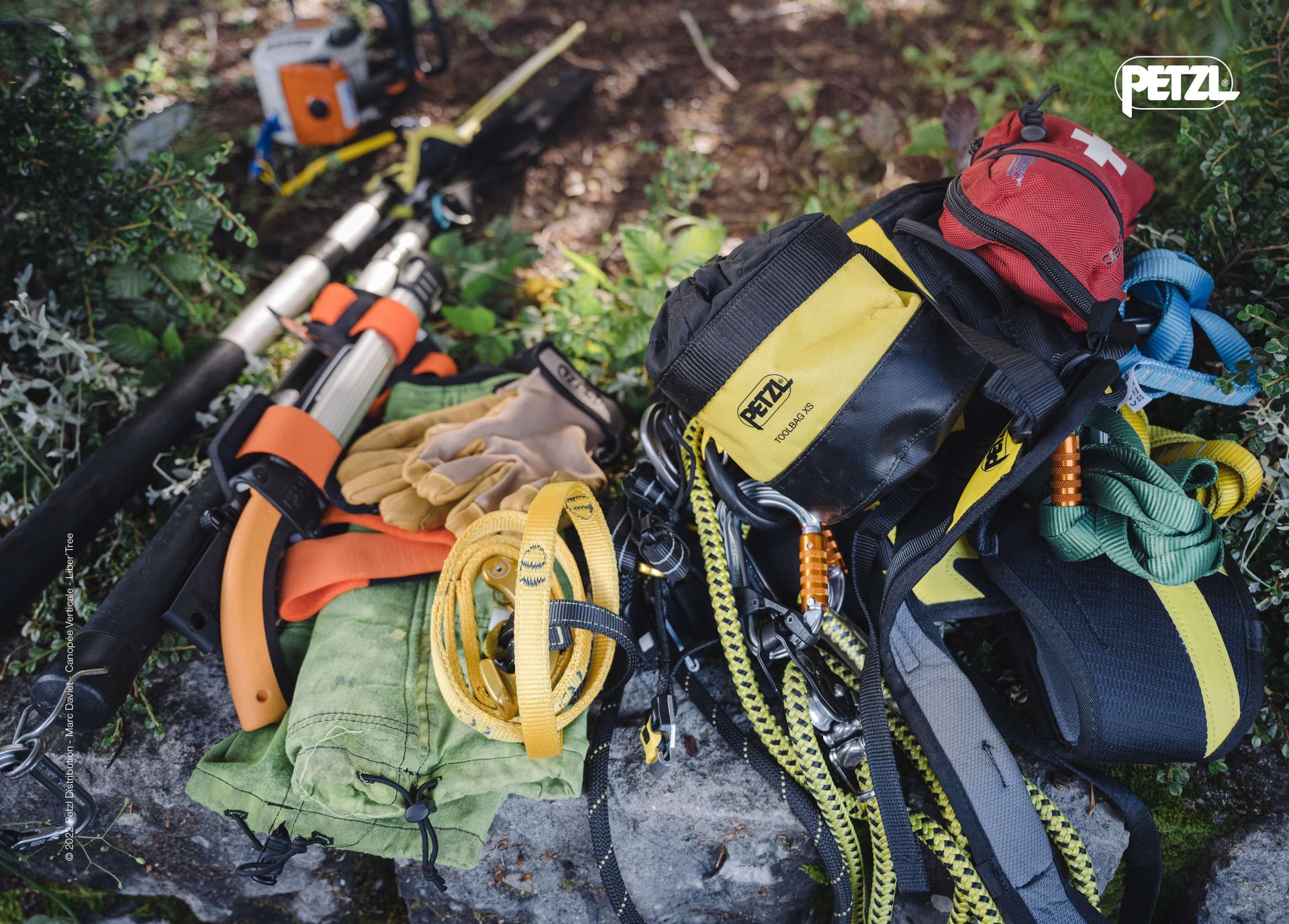 High-quality tree surgeon equipment including harnesses, gloves, and tools from PETZL for arborists at Gustharts.