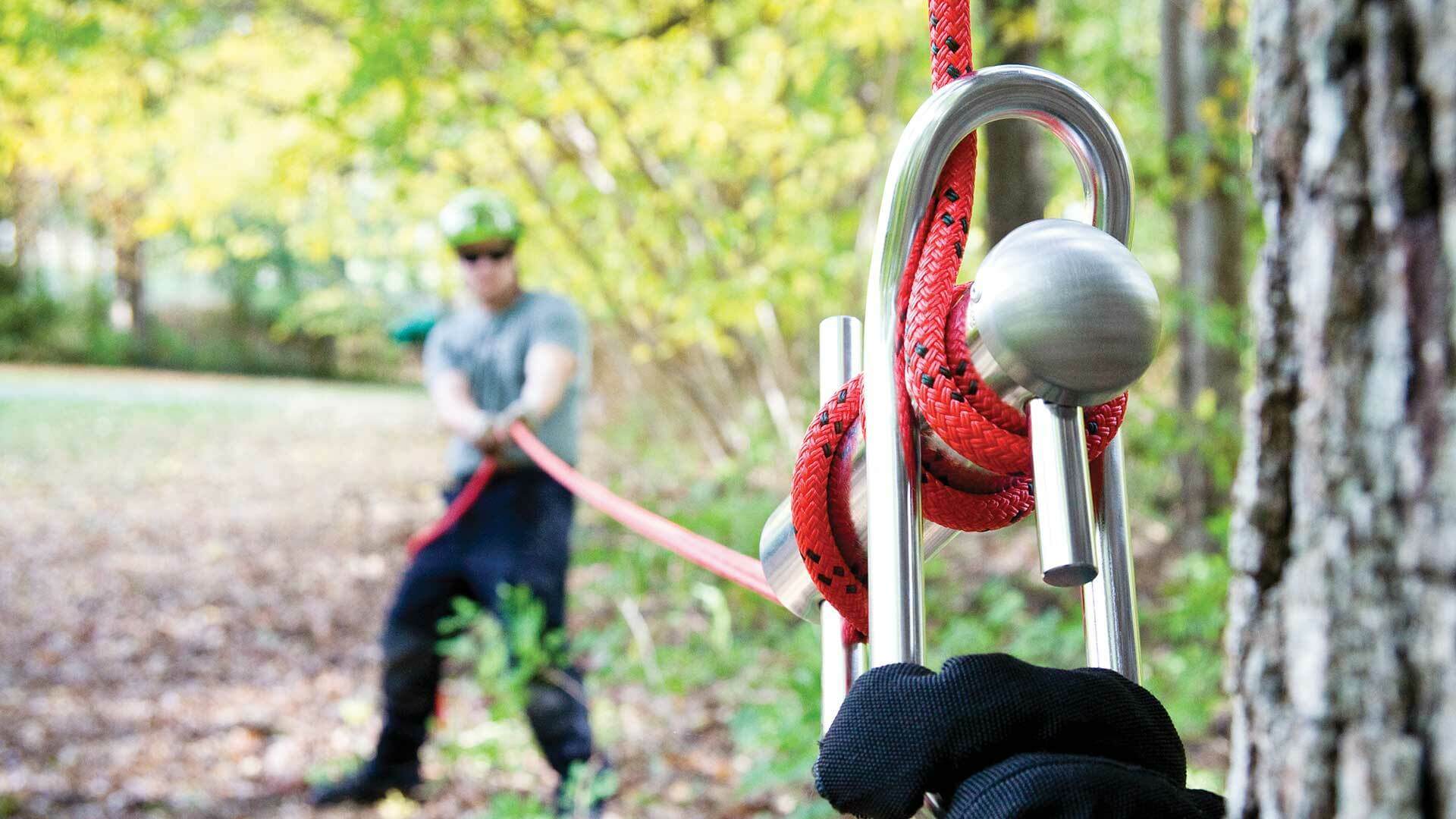 Tree Rigging Rings Tree Rigging Kits UK – Professional Pre-Built Lowering Systems