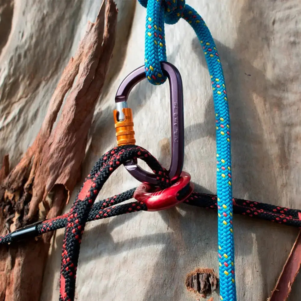 Close-up of SRT SnakeAnchor system with carabiner and climbing rope used by tree surgeons for secure anchoring.