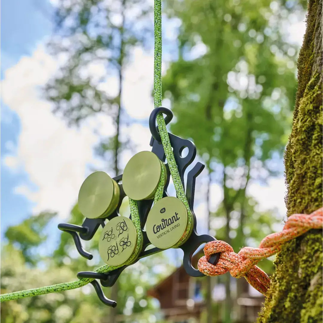 Courant rigging device on a rope in a tree, ideal for tree surgeons and arborists using lowering technology.