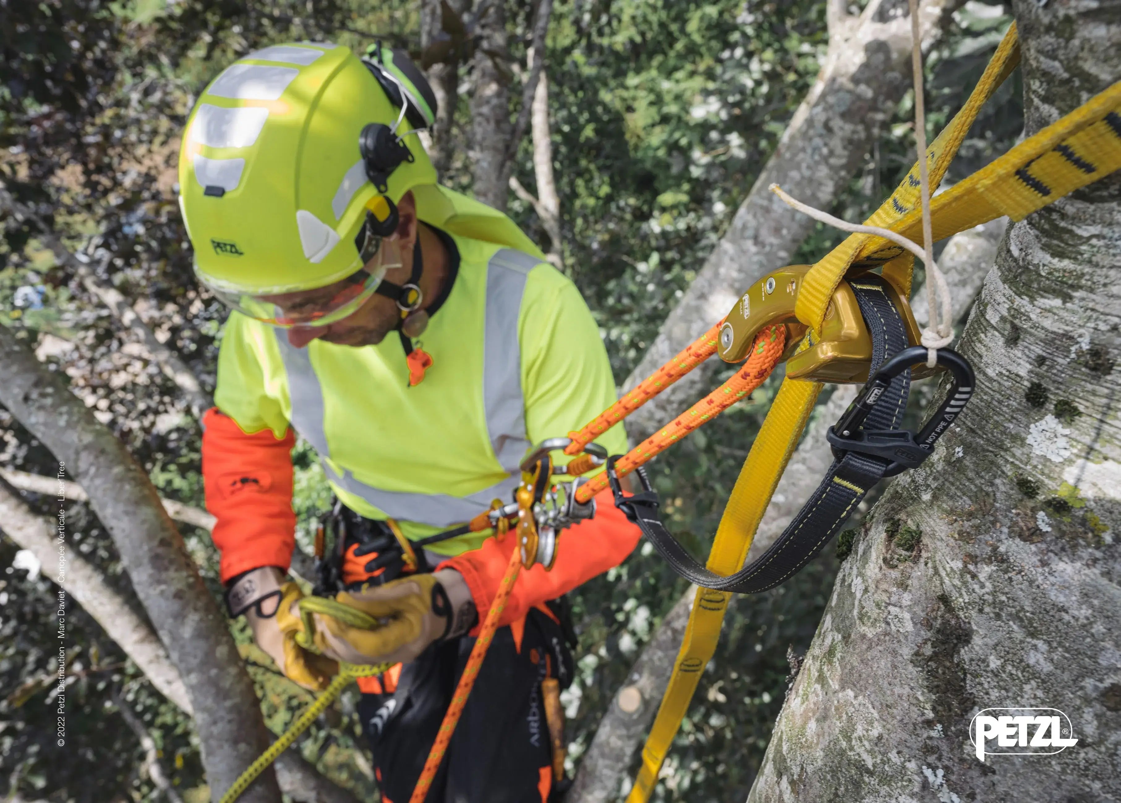 Drt Rope Setup Climbing Ropes UK | Arborist Tree Climbing