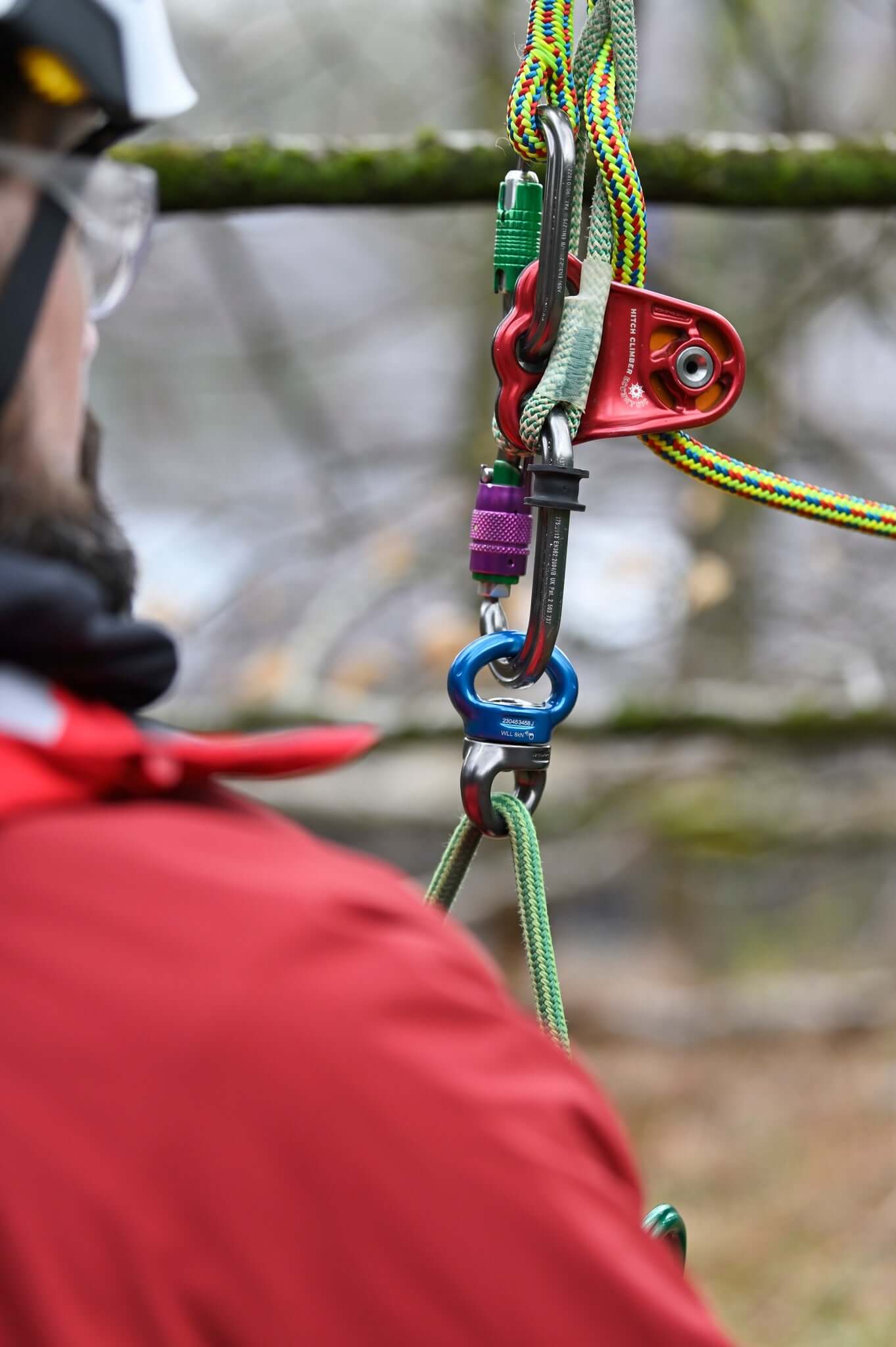 Tree climbing equipment showing colorful swivels and ropes used by tree surgeons for safe climbing.