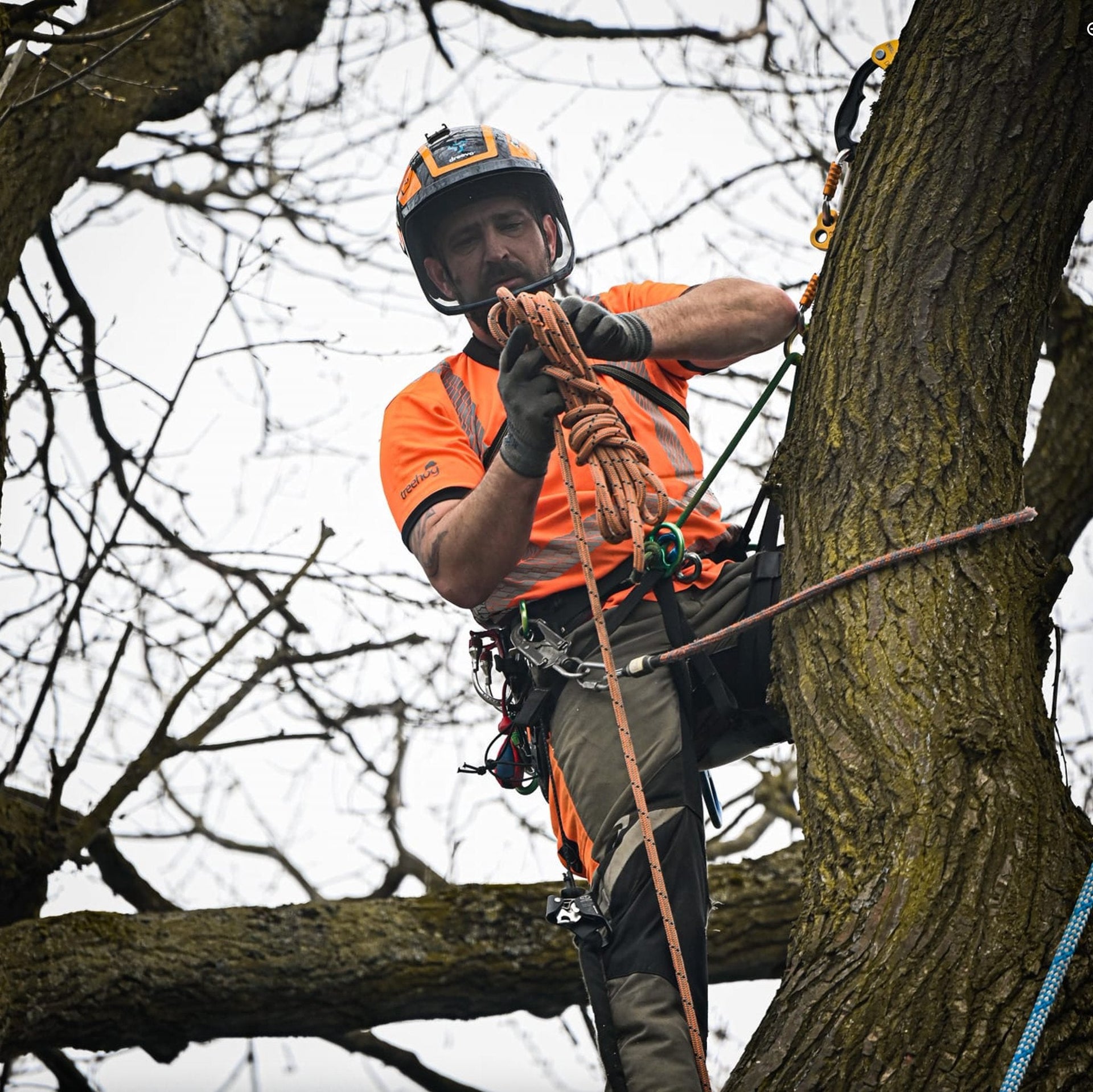 Tree surgeon using SRT climbing rope while working in a tree, demonstrating climbing techniques and safety.