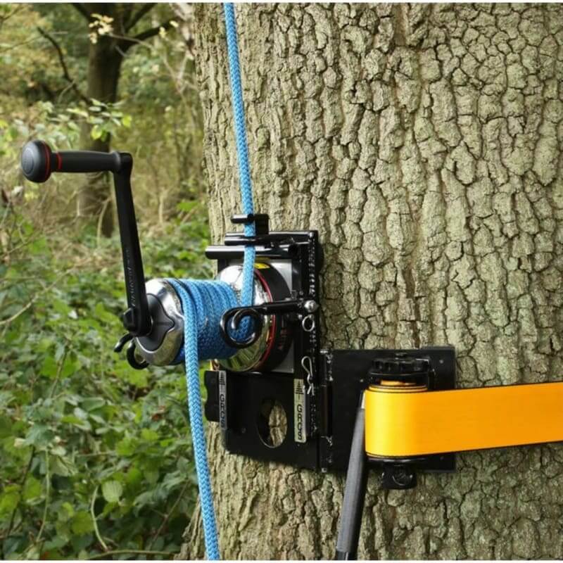 Tree surgeon equipment featuring a pulley and rope secured to a tree for lifting tasks.