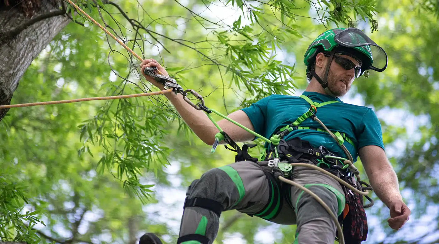Buy Notch Lowering & Rigging Equipment | Fast UK Delivery