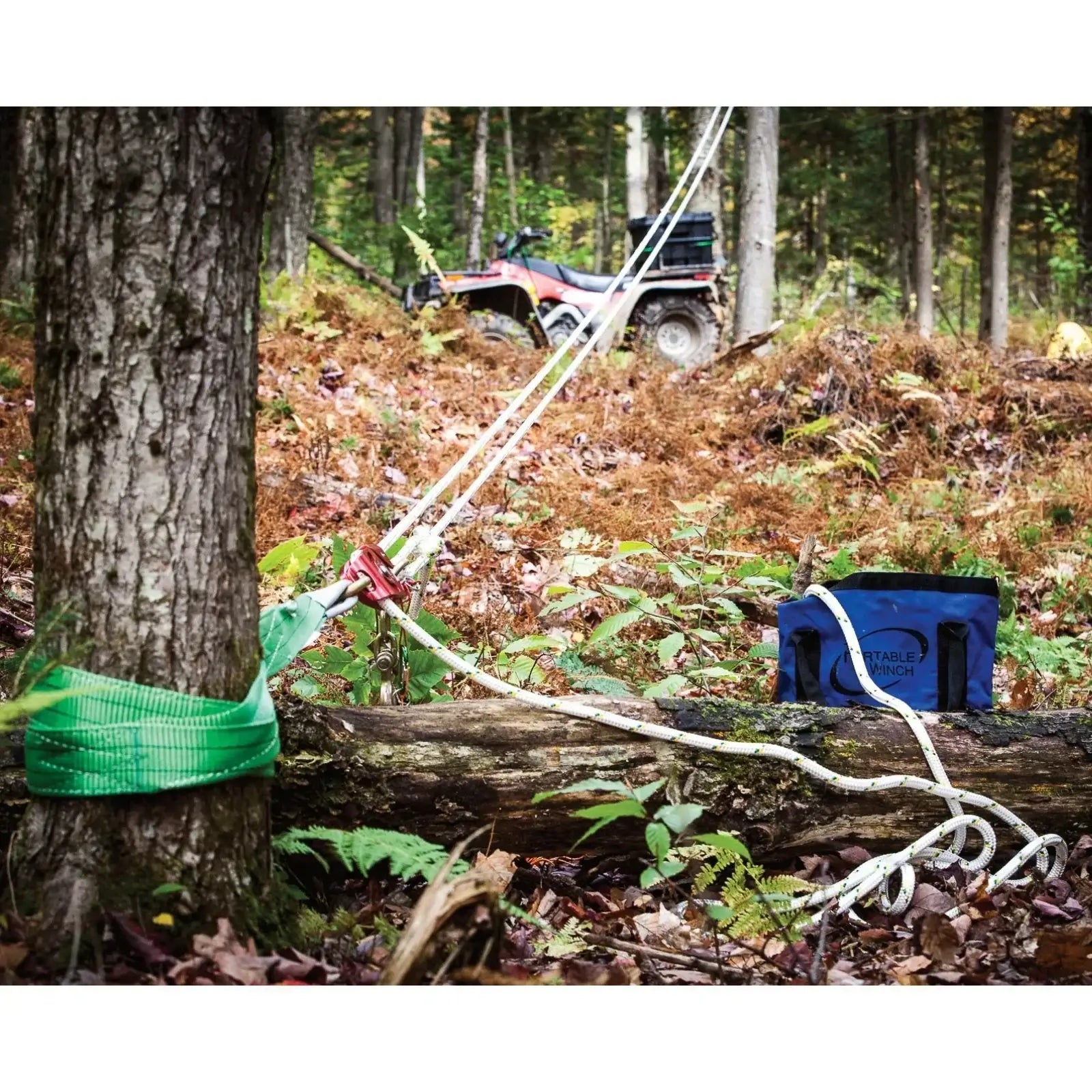 Portable winch setup for tree surgeons, featuring a tree trunk with rope and lifting harness in a forest environment.