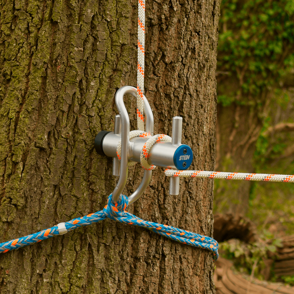 Gustharts STEIN tree lowering device securely attached to a tree trunk, ensuring safe branch lowering for tree surgeons.