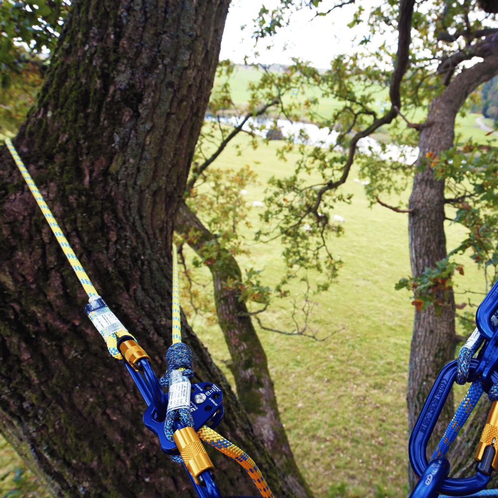 Stein lanyards and carabiners securely anchored to a tree, essential for tree surgeons working safely at heights.