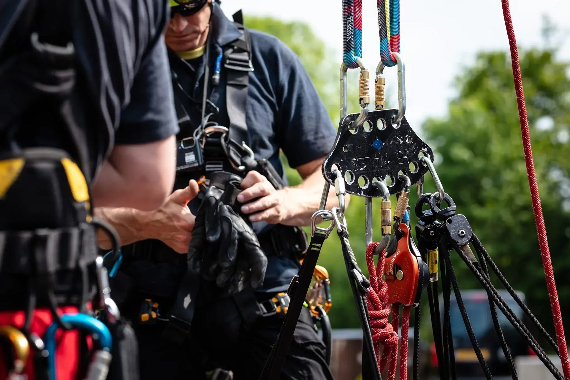 Tree surgeons preparing rigging equipment with harnesses and pulleys for safe work at heights.