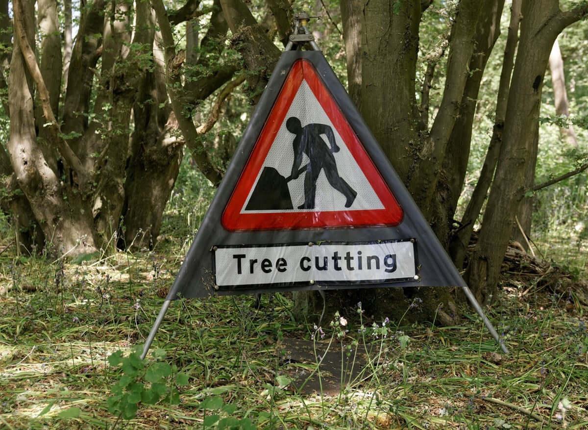 Warning sign for tree cutting in a forested area, indicating tree surgeon activity and potential hazards.