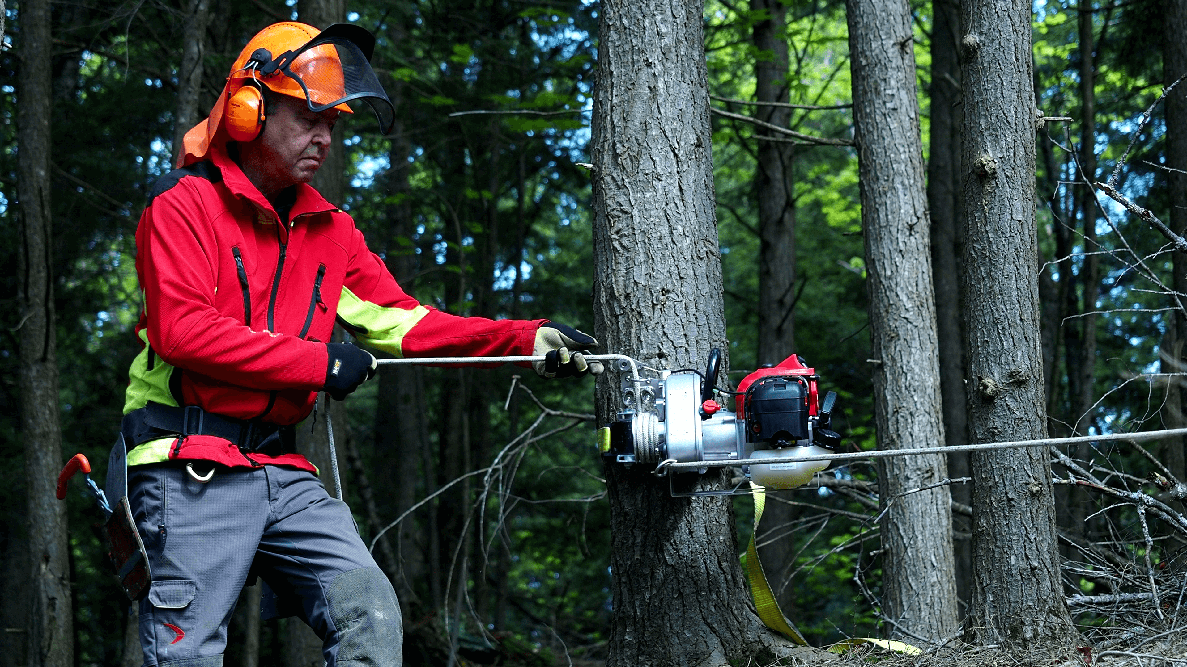 Tree surgeon operating a portable winch in a forest, demonstrating rigging techniques for arborist tasks.