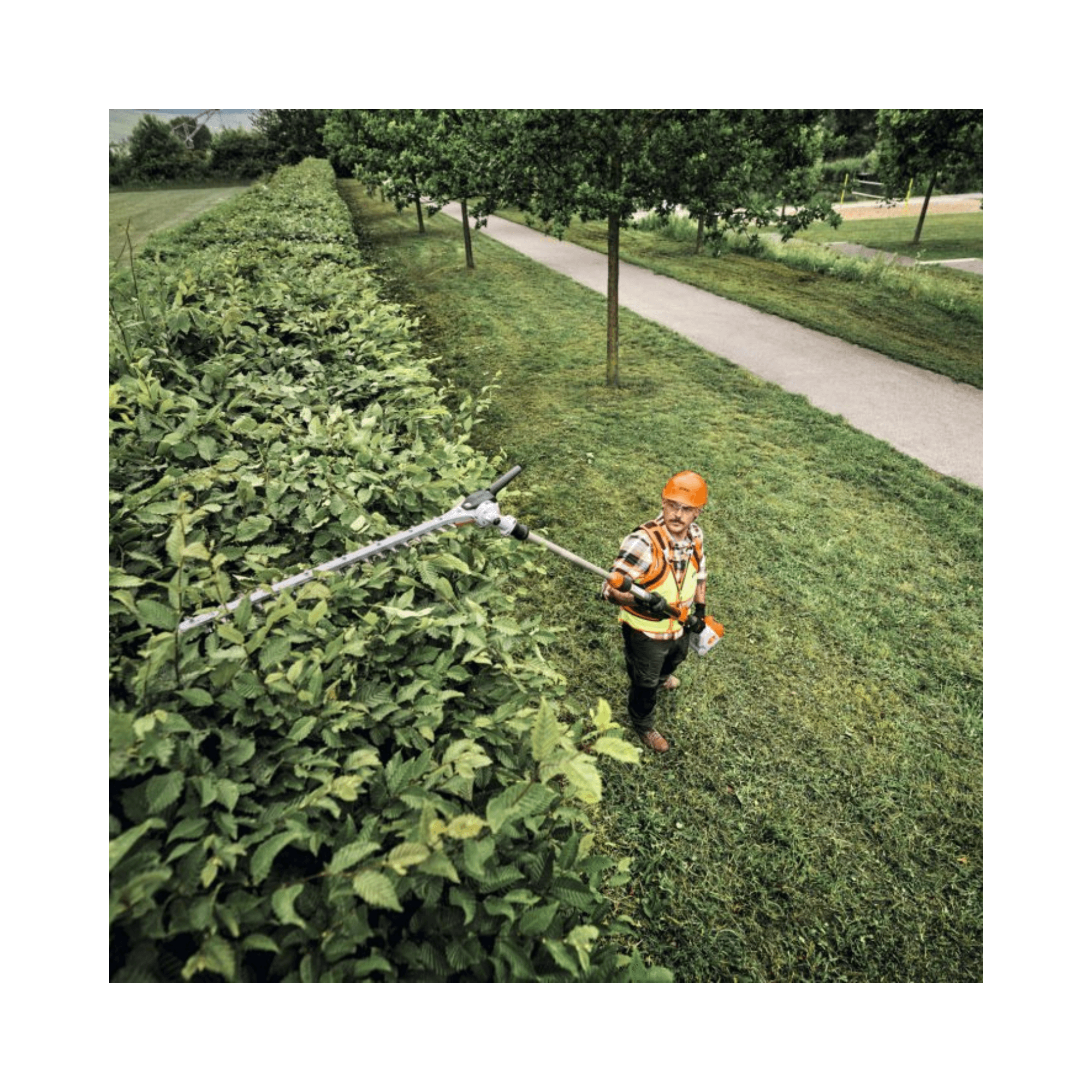 HLA 150 B Cordless Long-Reach Hedge Trimmer in use by a tree surgeon maintaining a tall hedge.