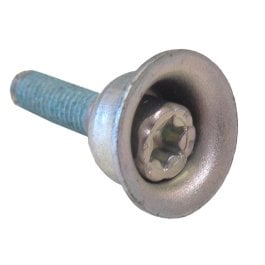 MS231 Screw Assembly