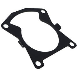 Cylinder Gasket MS201