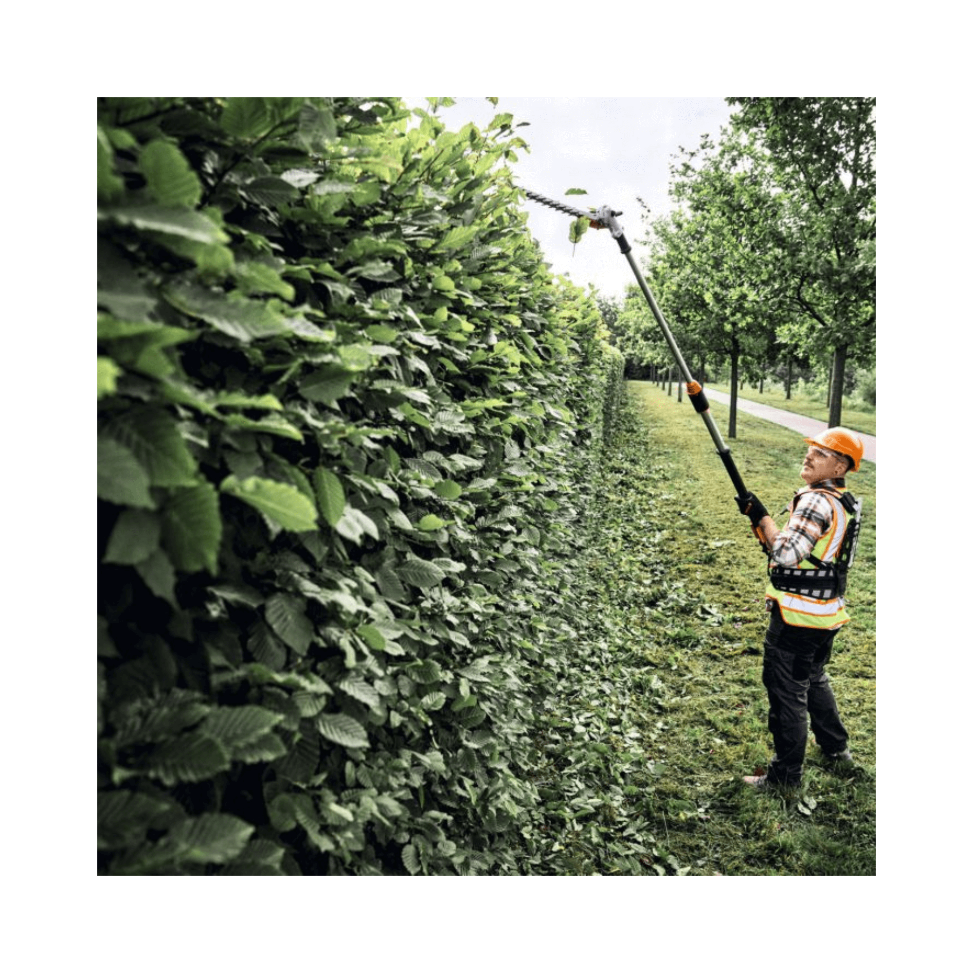 Person using HLA 150 B Cordless Long-Reach Hedge Trimmer for professional hedge maintenance.