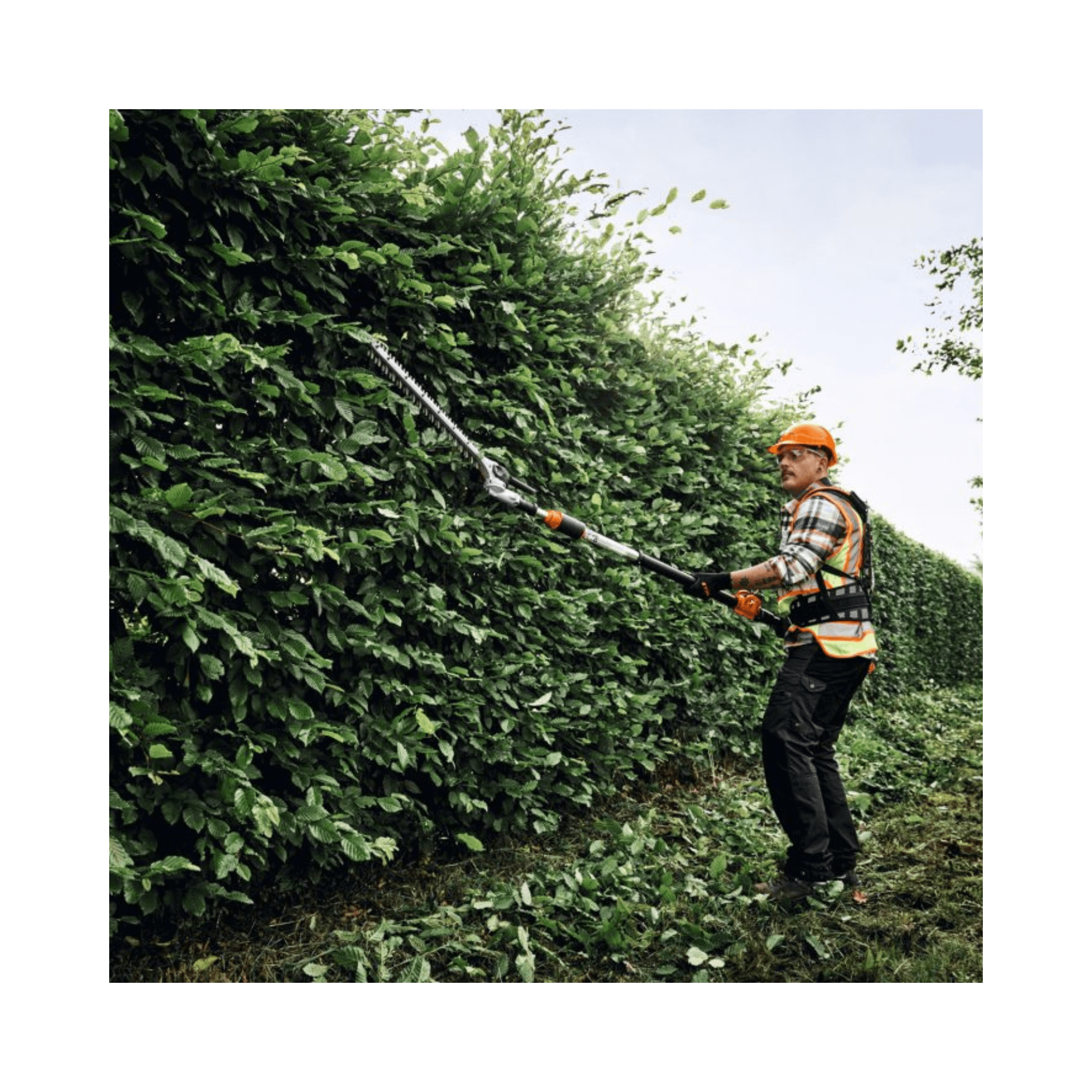 HLA 150 B Cordless Long-Reach Hedge Trimmer in use by a professional arborist trimming tall hedges.