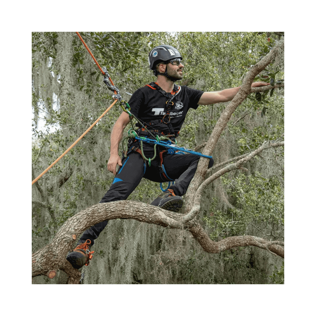 Buy Kernmantle Rigging Rope for Arborists | Free UK Delivery