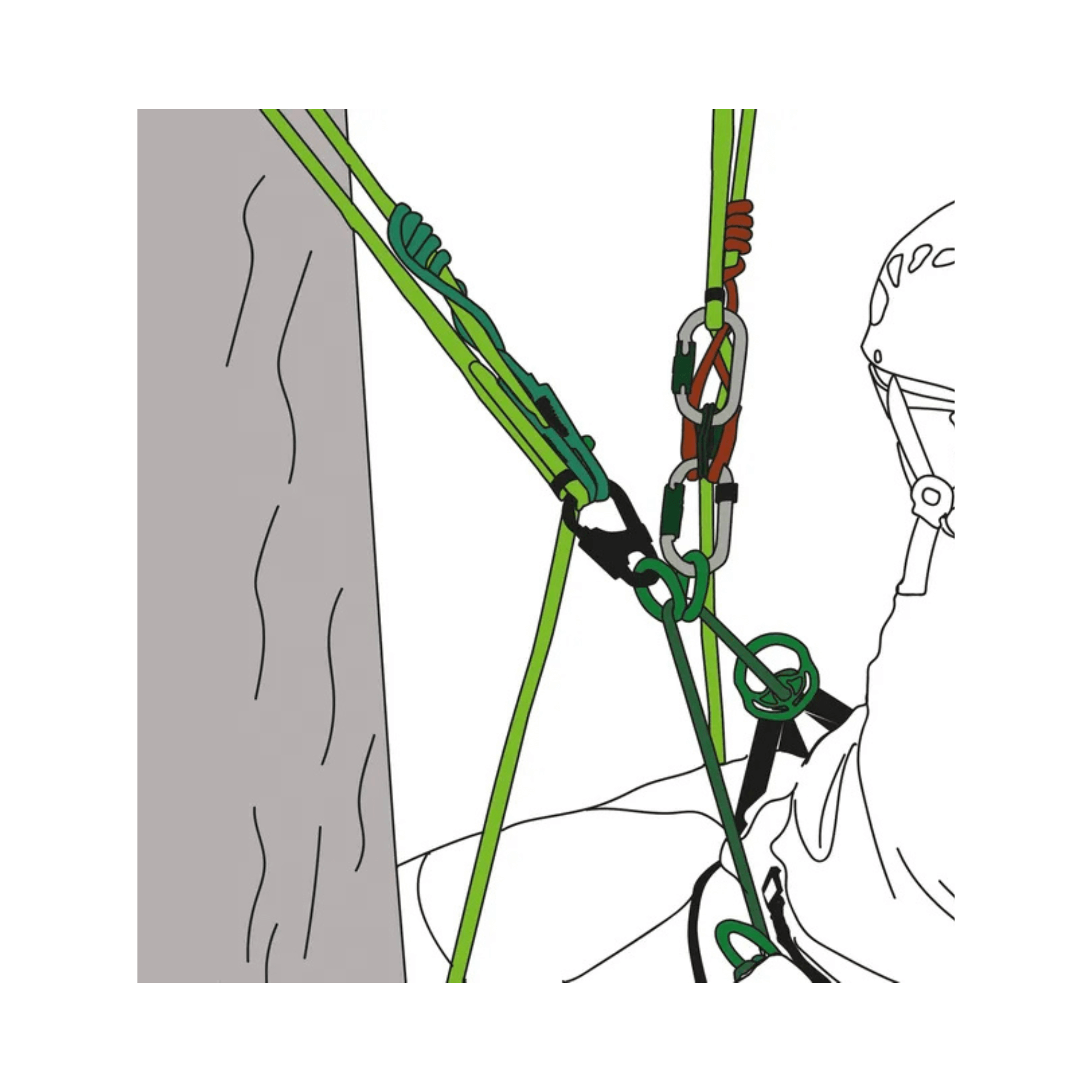 Sirius multiSLING Cambium Saver 1.3m in use for tree care by arborists and tree surgeons.