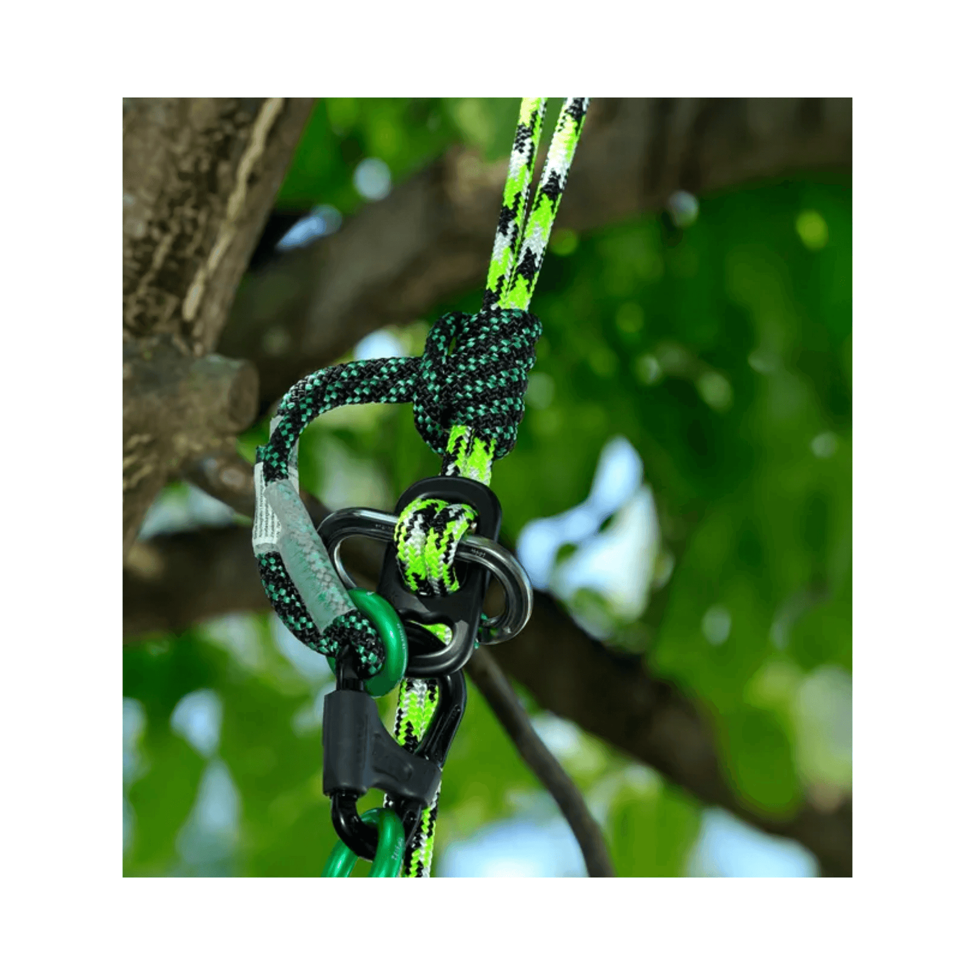 Close-up of Sirius multiSLING Cambium Saver 1.3m attached to tree for arborist use.