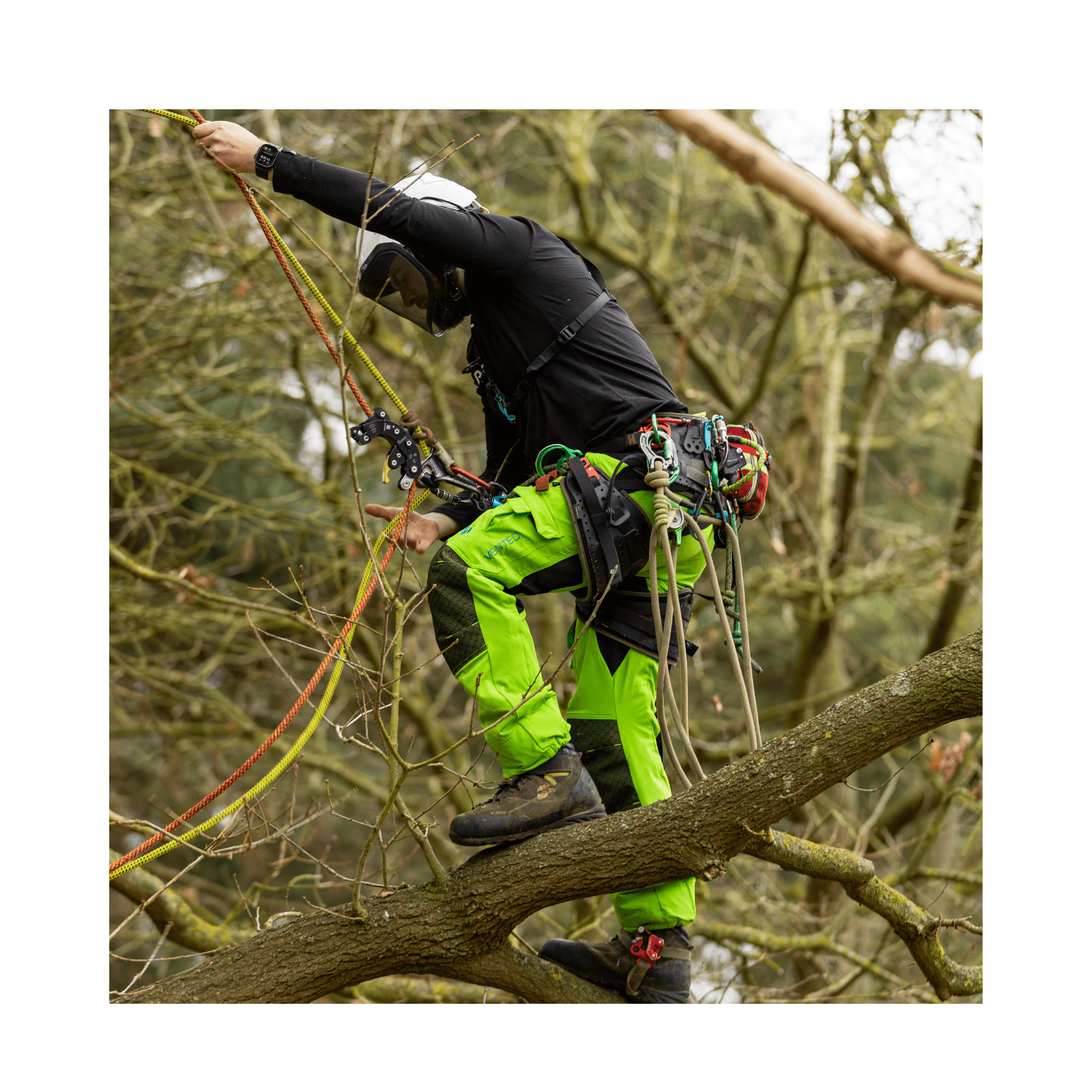 Arbortec Vented Chainsaw Trousers Type A worn by arborist in tree, showcasing lightweight and breathable design.