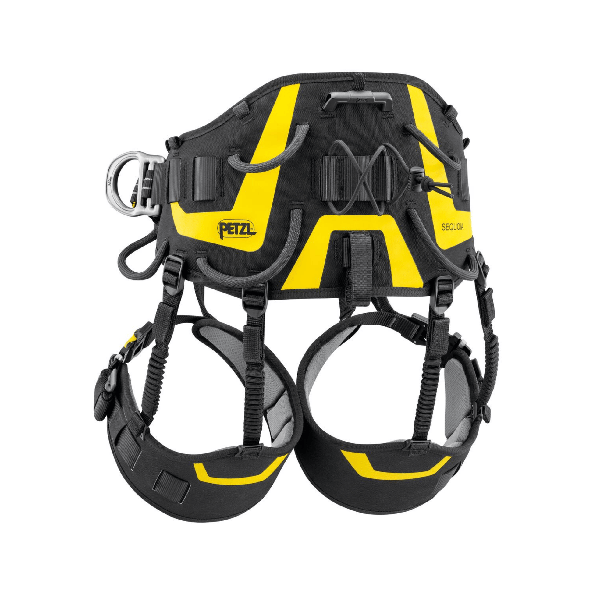 Sequoia Plus Tree Climbing Harness with ergonomic design and integrated SRS system for tree surgeons.