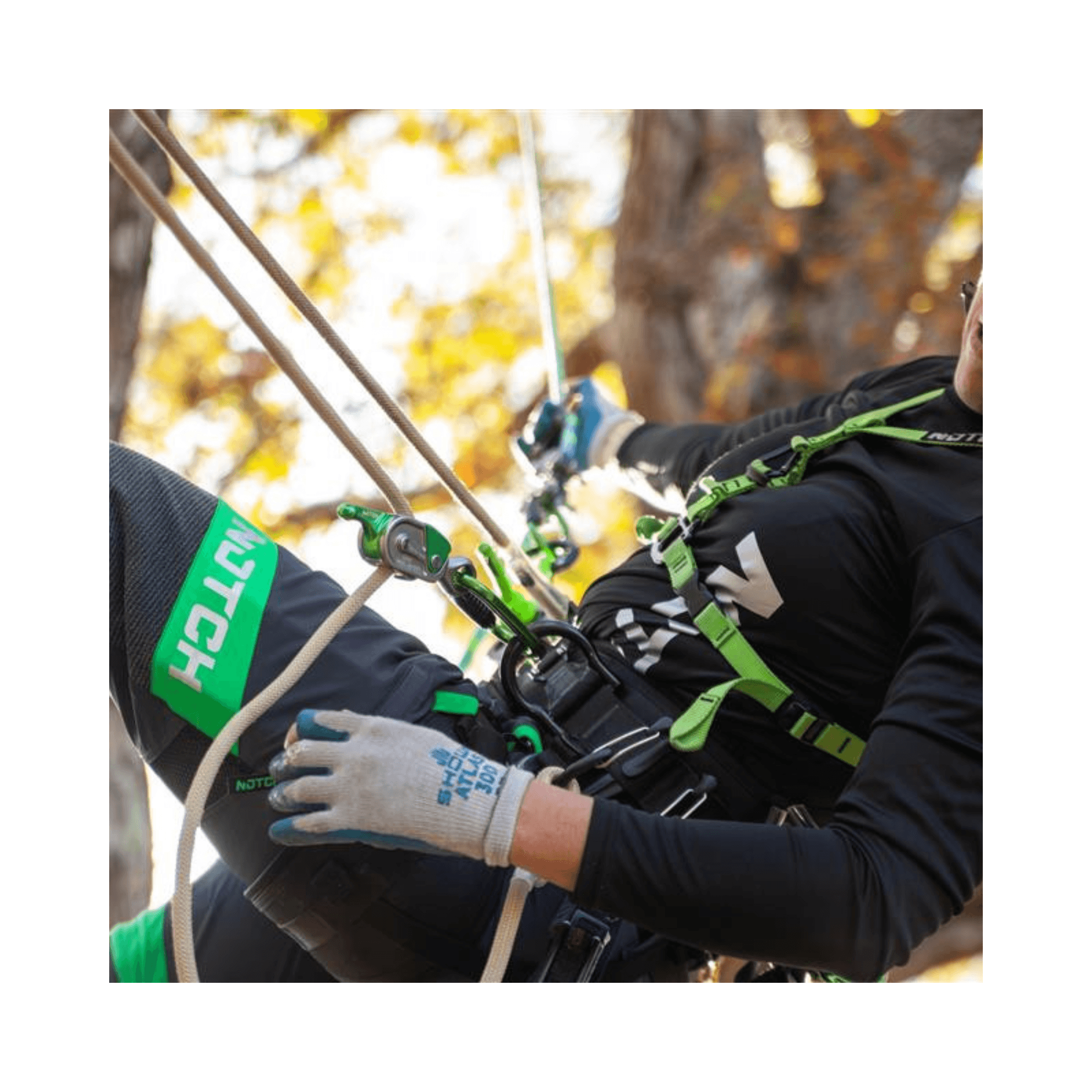 Glide Rope Grab used by an arborist for professional tree climbing and secure positioning.