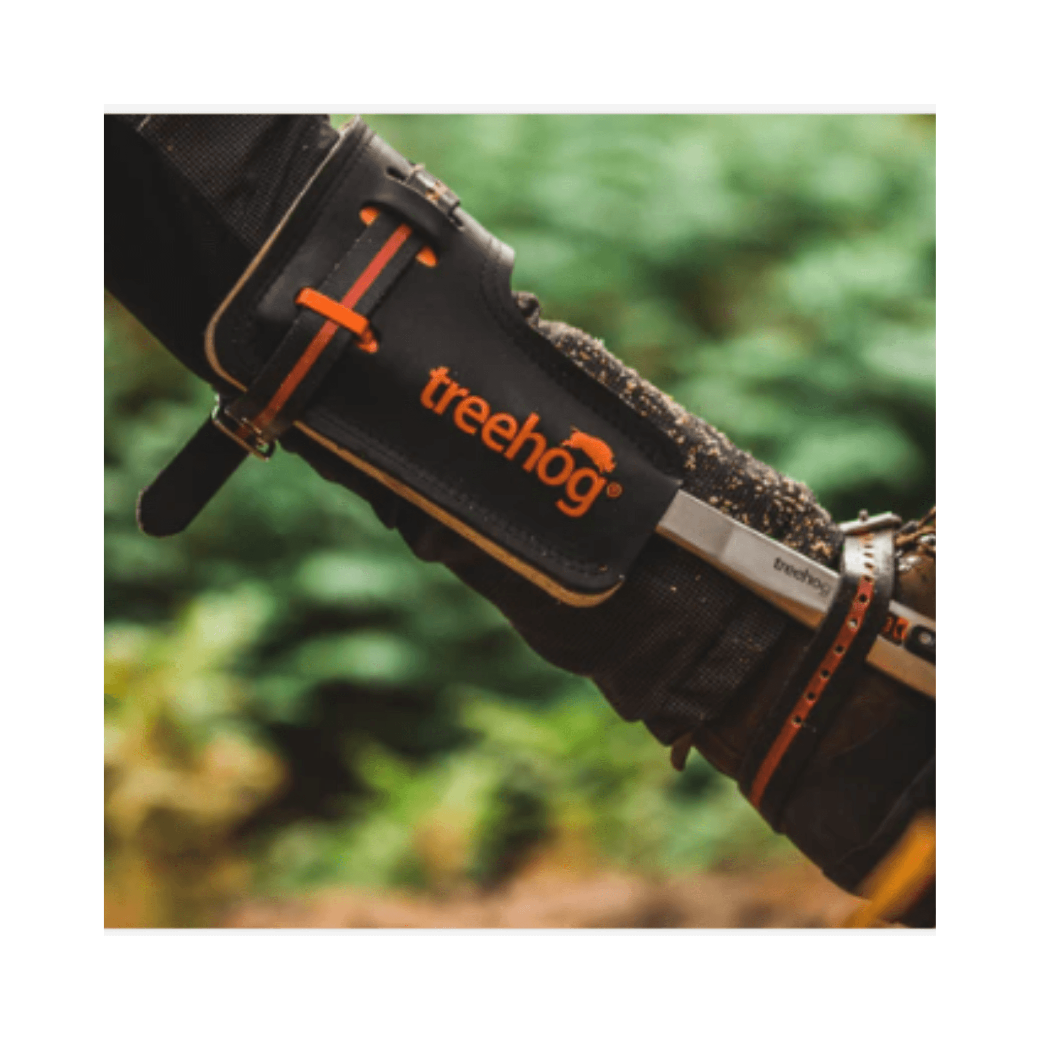 Treehog ツリークライミングスパイク：プロ仕様の安全で効率的な登山用具