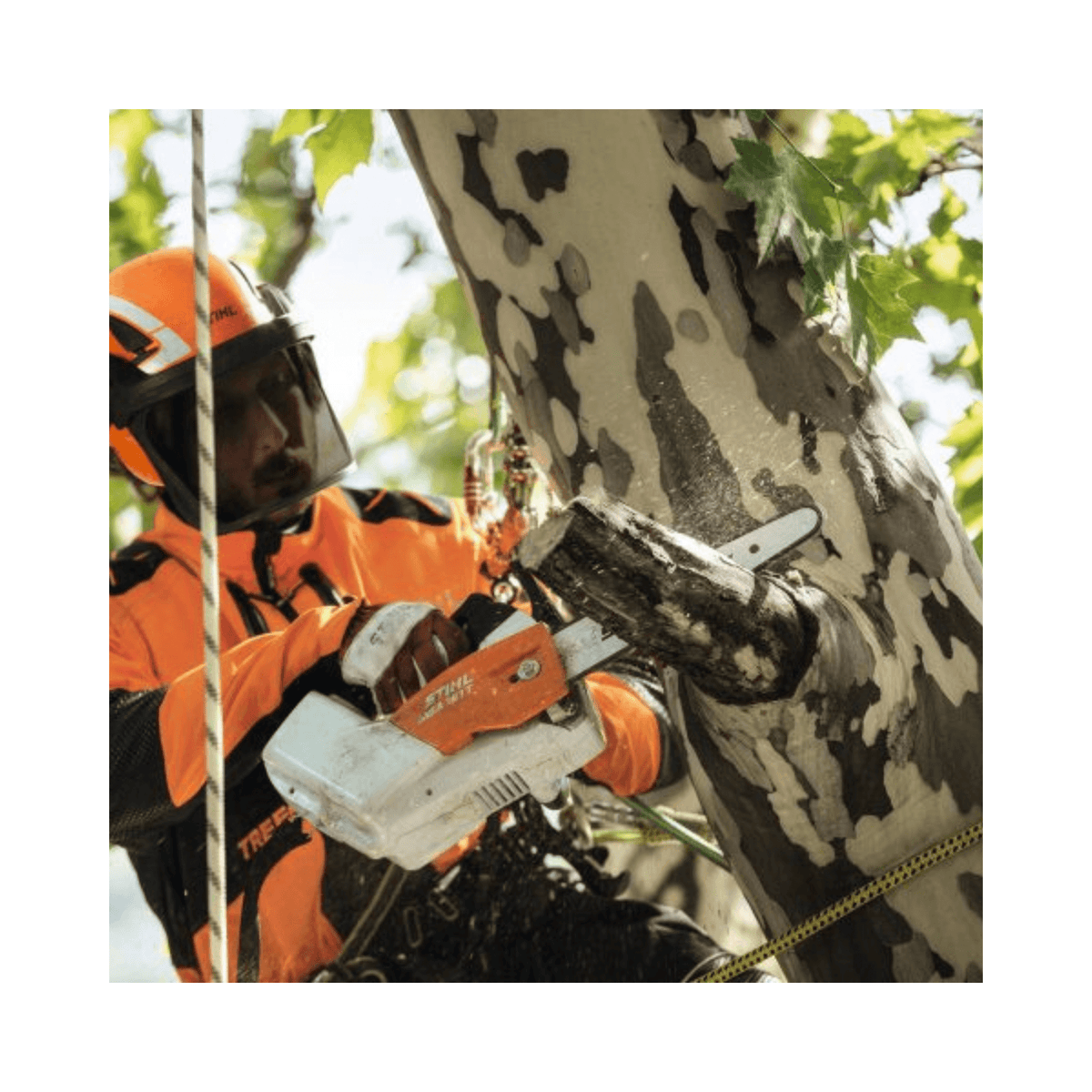 STIHL ADVANCE X-CLIMB アーボリストヘルメット | 英国送料無料 STIHL ADVANCE X-CLIMB アーボリストヘルメット | 英国送料無料