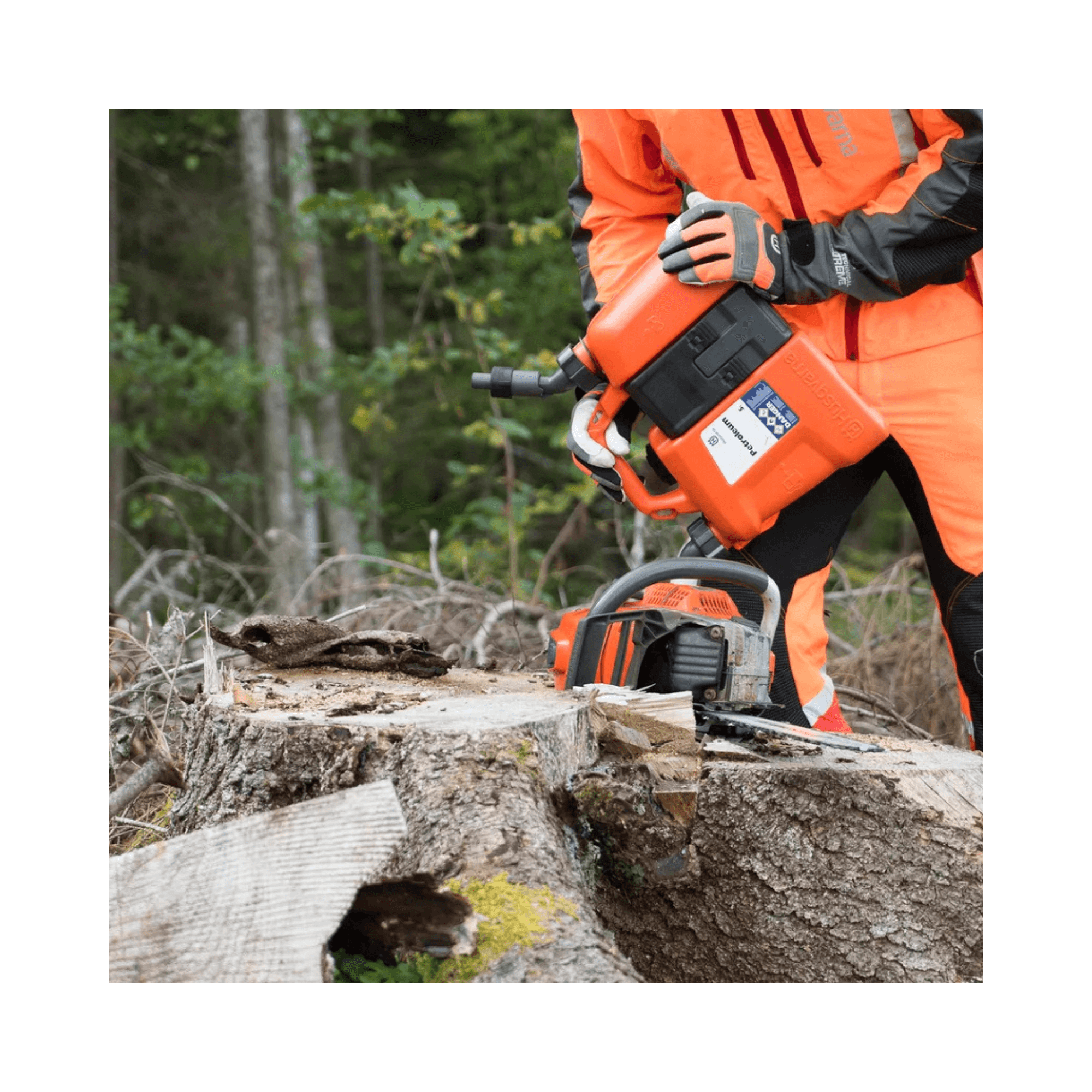 Tree surgeon using a chainsaw with a Husqvarna Combination Can in a forest setting.