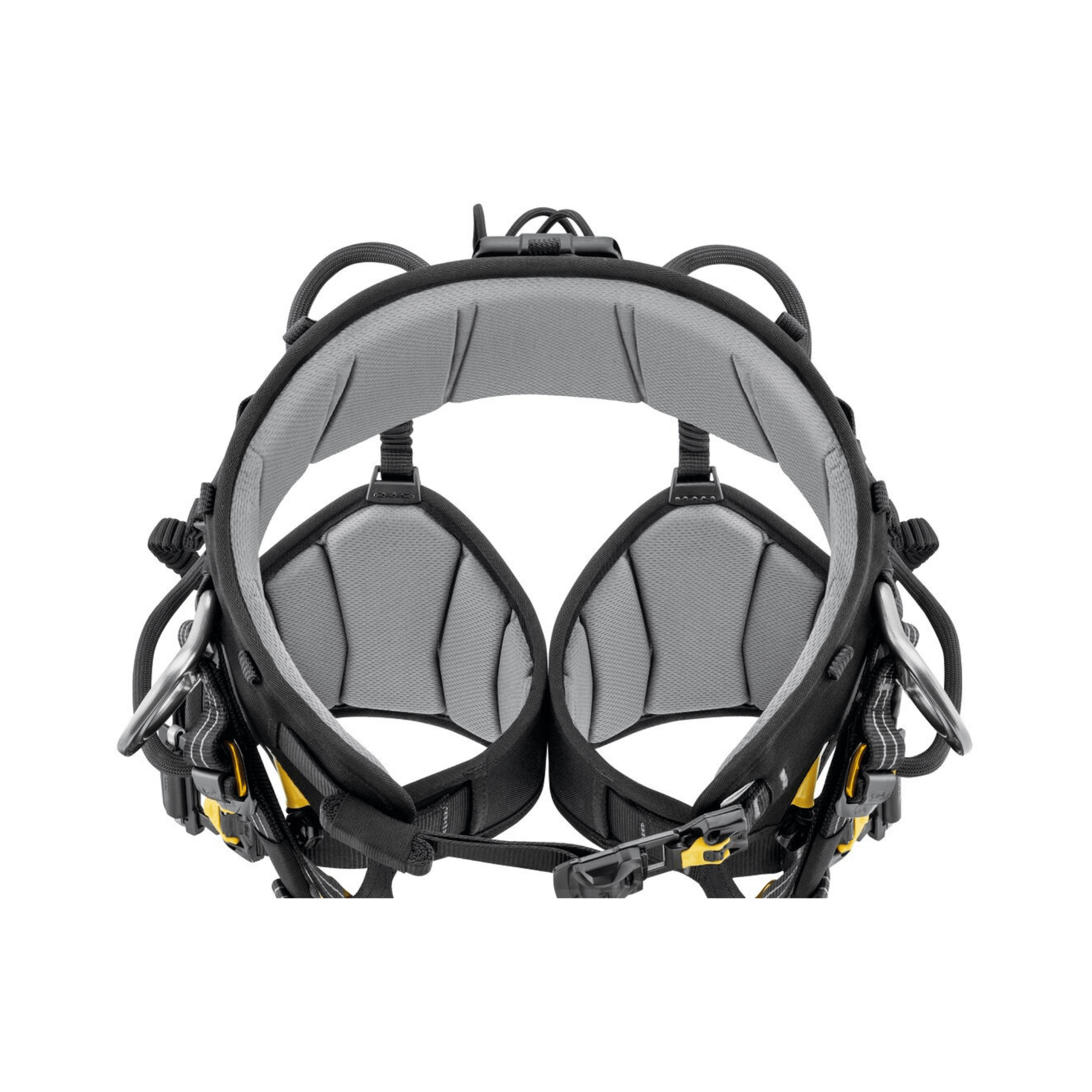 Sequoia Plus Tree Climbing Harness back view showing ergonomic design and support for tree surgeons.