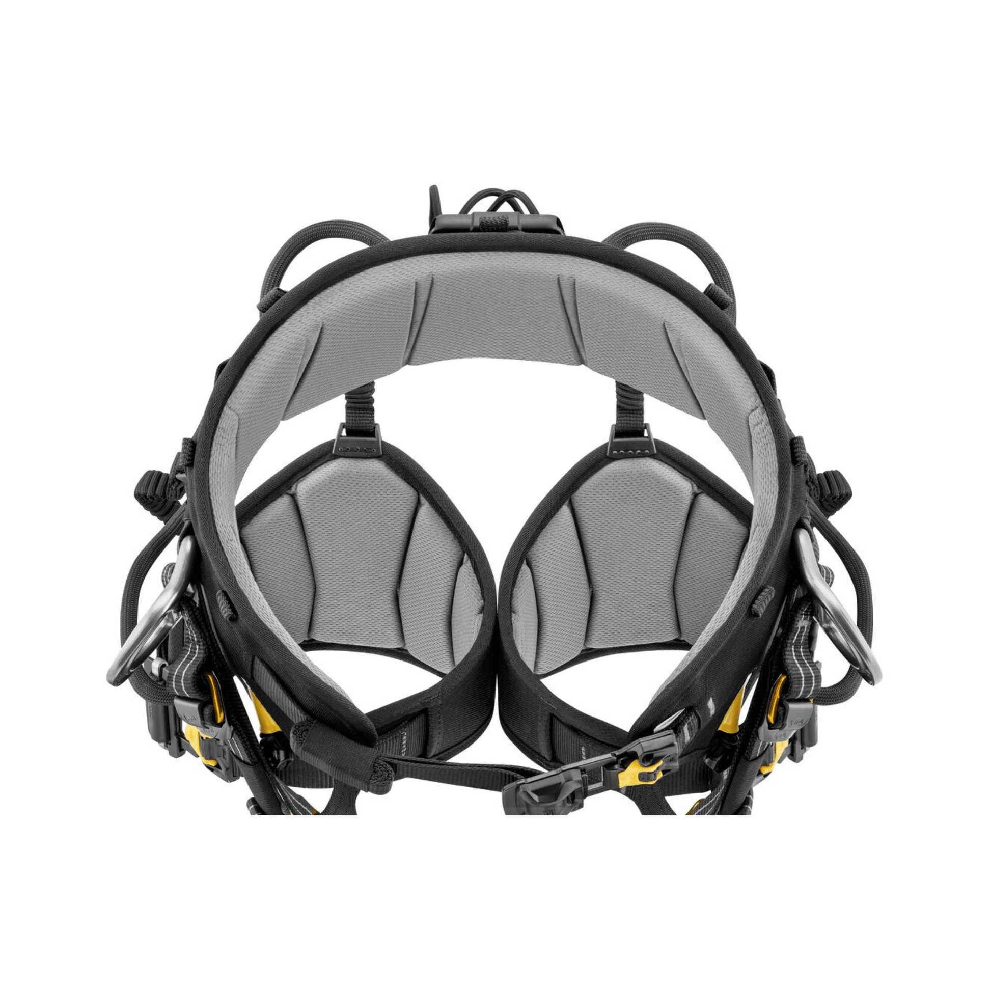 Sequoia Plus Tree Climbing Harness back view showing ergonomic design and support for tree surgeons.