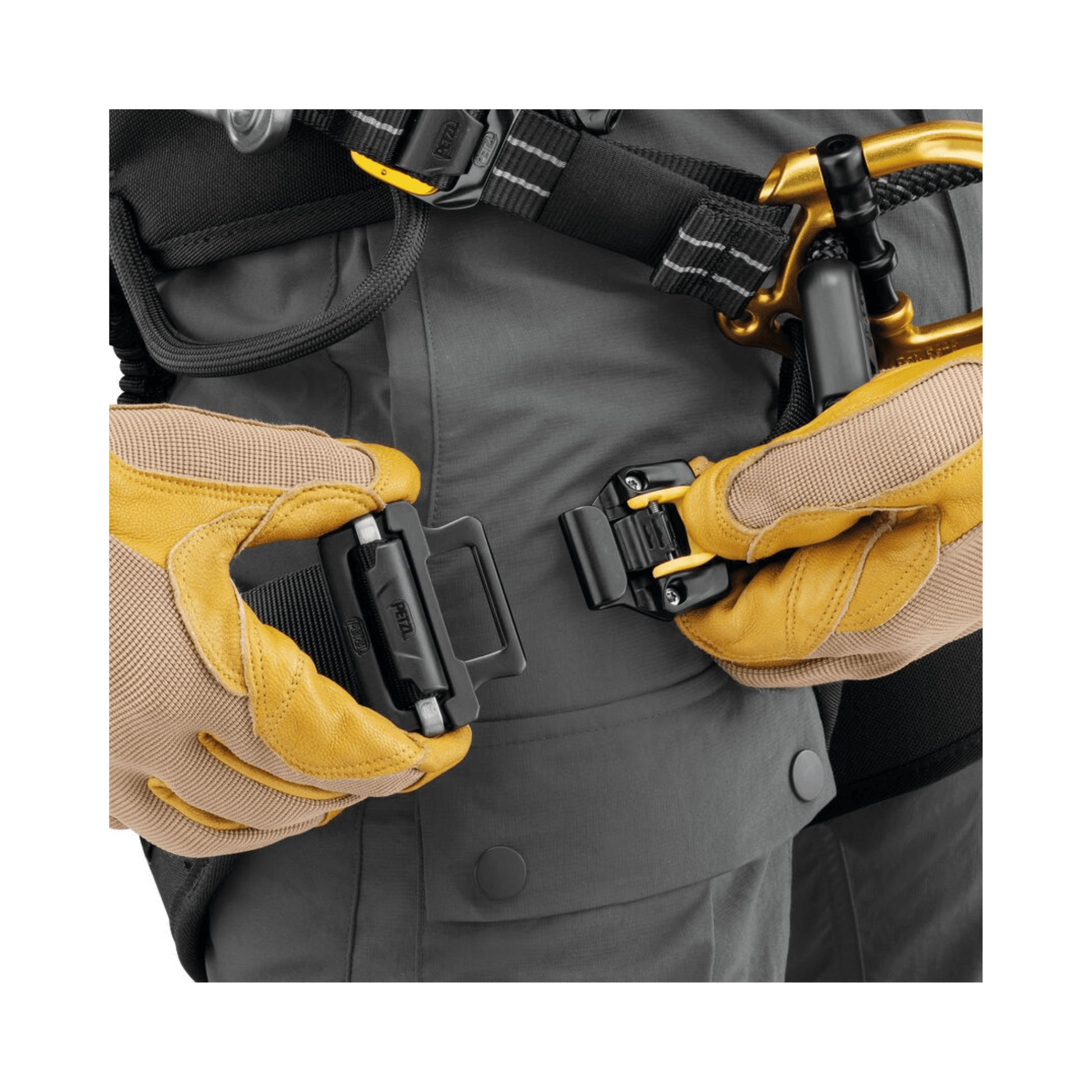 Close-up of hands fastening buckles on the Sequoia Plus Tree Climbing Harness for tree surgeons.