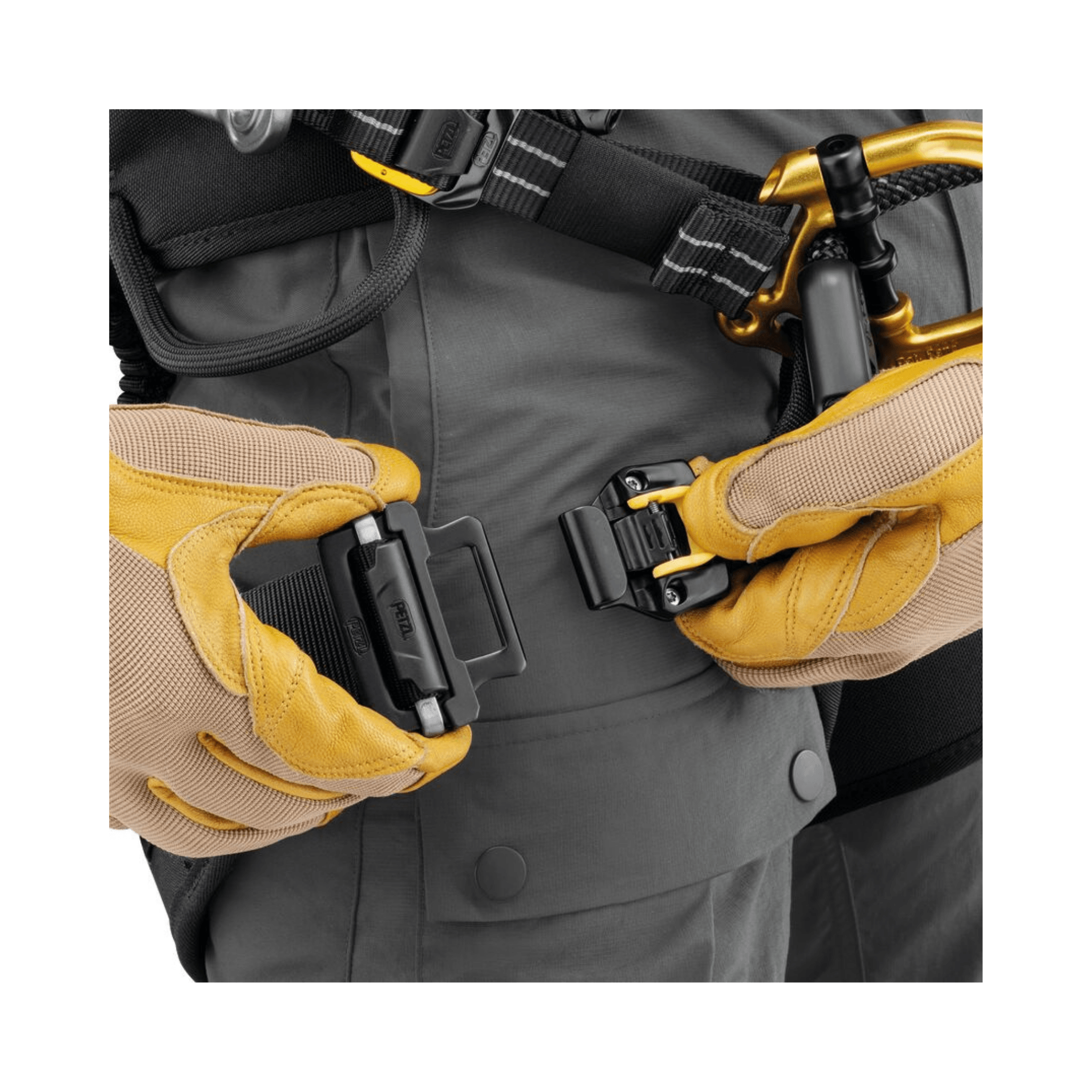 Close-up of hands fastening buckles on the Sequoia Plus Tree Climbing Harness for tree surgeons.