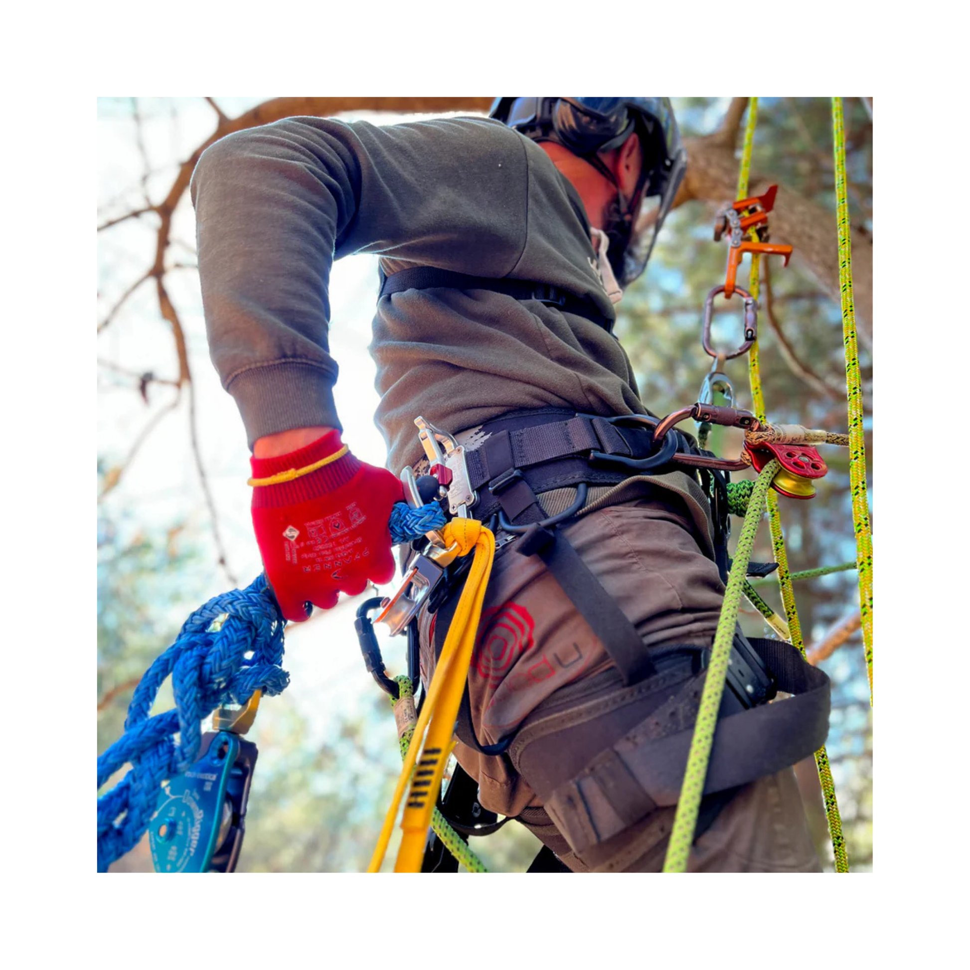 Person using TransPorter XL Tool Karabiner while climbing with gear in a harness.