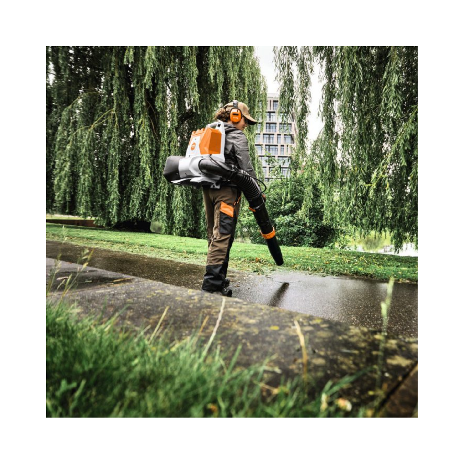 Stihl BRA 200 Cordless Backpack Leaf Blower used for clearing leaves from a pathway surrounded by greenery.