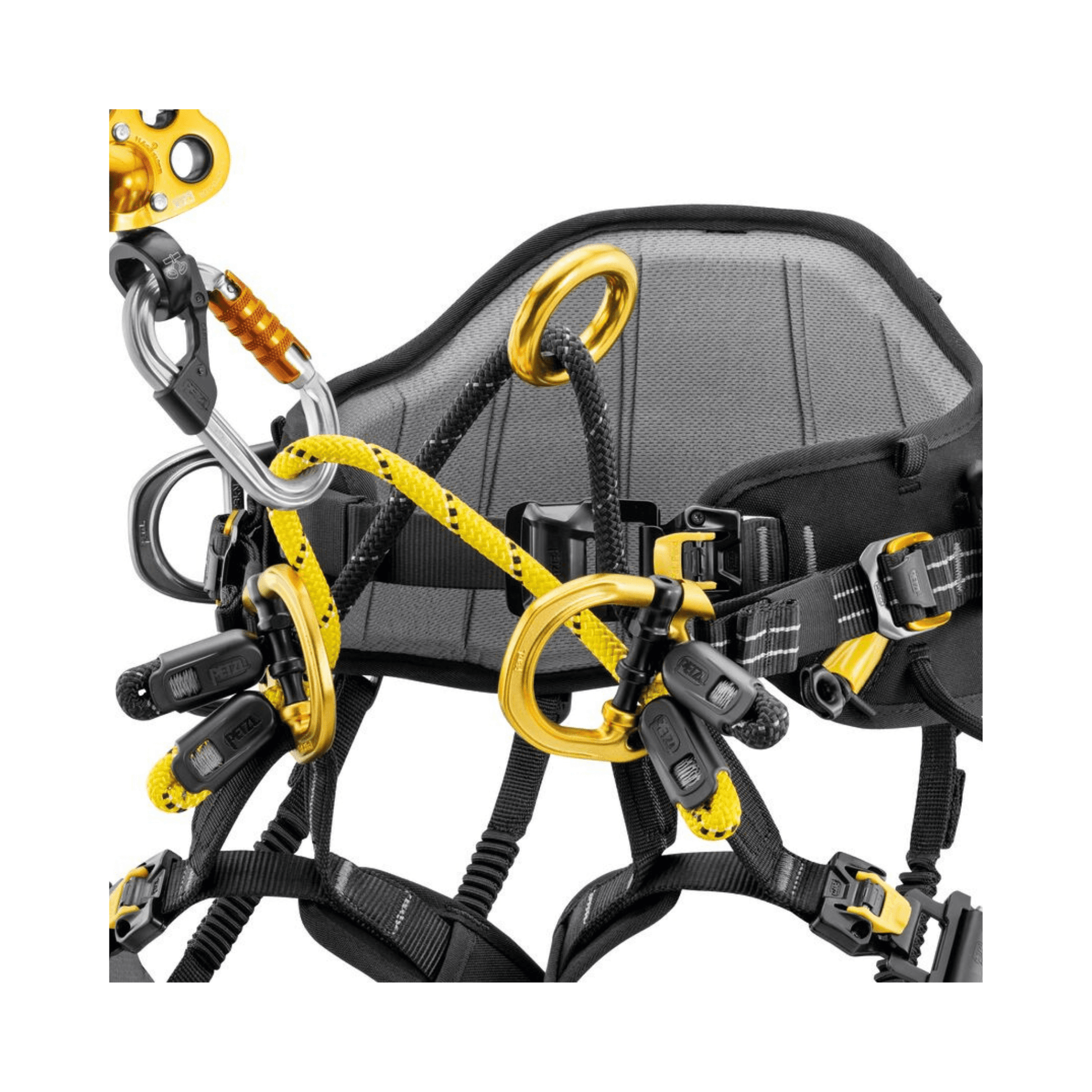 Close-up of the Sequoia Plus Tree Climbing Harness showcasing its ergonomic design and integrated SRS system.