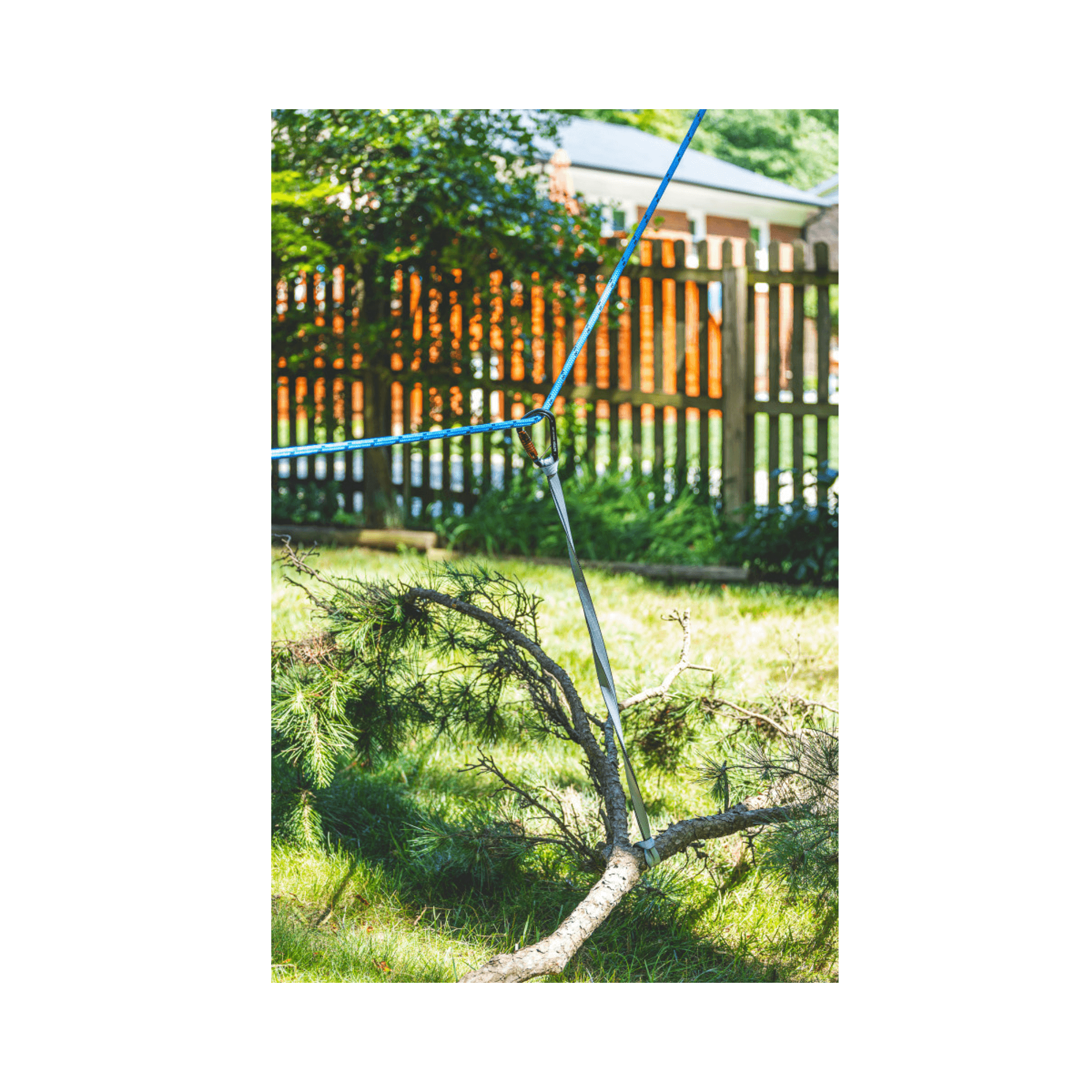 Speedline Sling 100cm 40 in use for tree rigging with a brush on the ground and blue line setup in the yard.
