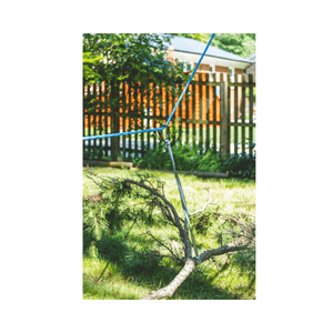 Speedline Sling 100cm 40 in use for tree rigging with a brush on the ground and blue line setup in the yard.