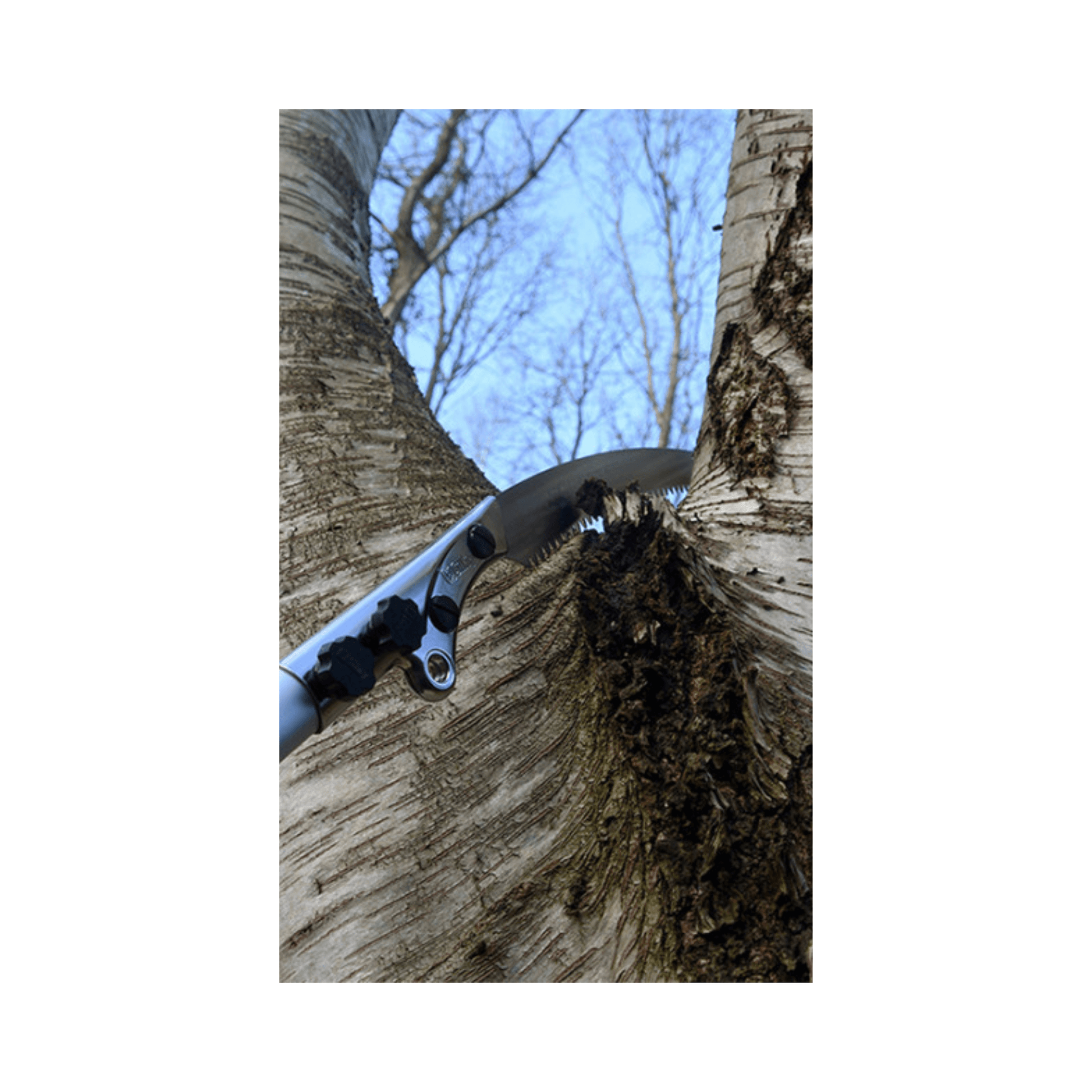 Forester Telescopic Tree Pruning Pole Saws in action, showcasing professional cutting performance for tree surgeons.