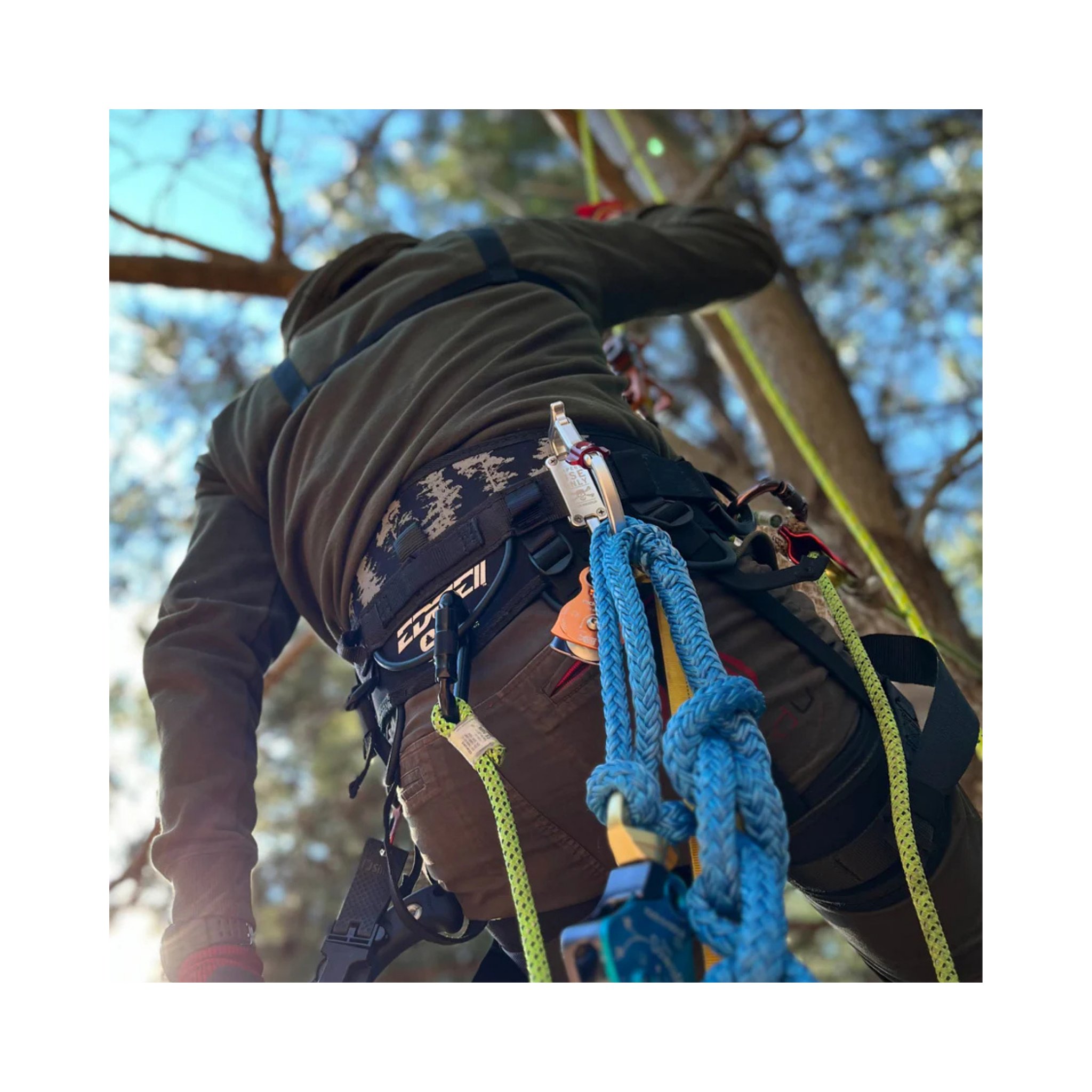 Arborist using TransPorter XL Tool Karabiner while climbing a tree, showcasing gear and ropes.