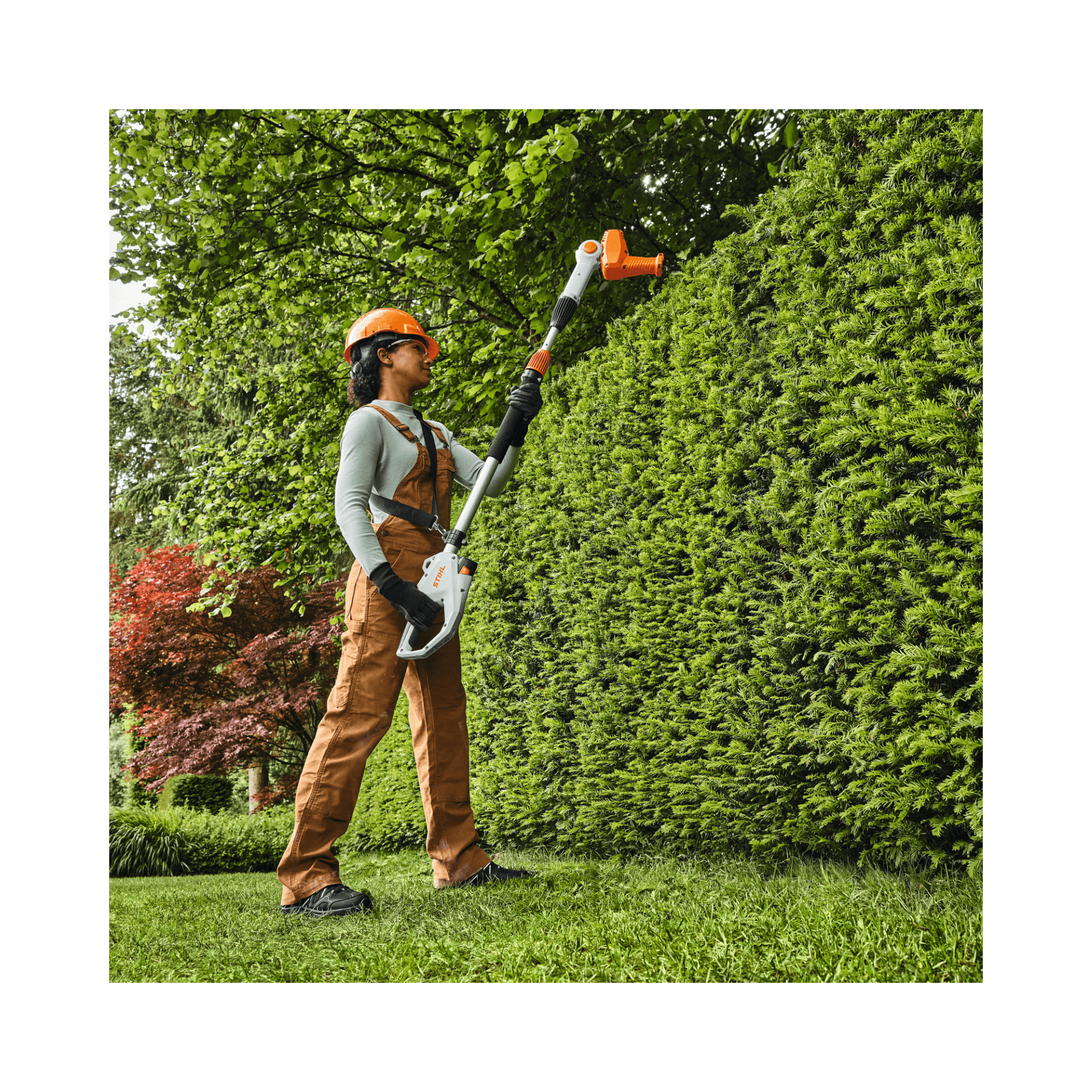 Person using HLA 40 Cordless Telescopic Long-Reach Hedge Trimmer for precise trimming, preferred by tree surgeons and arborists.