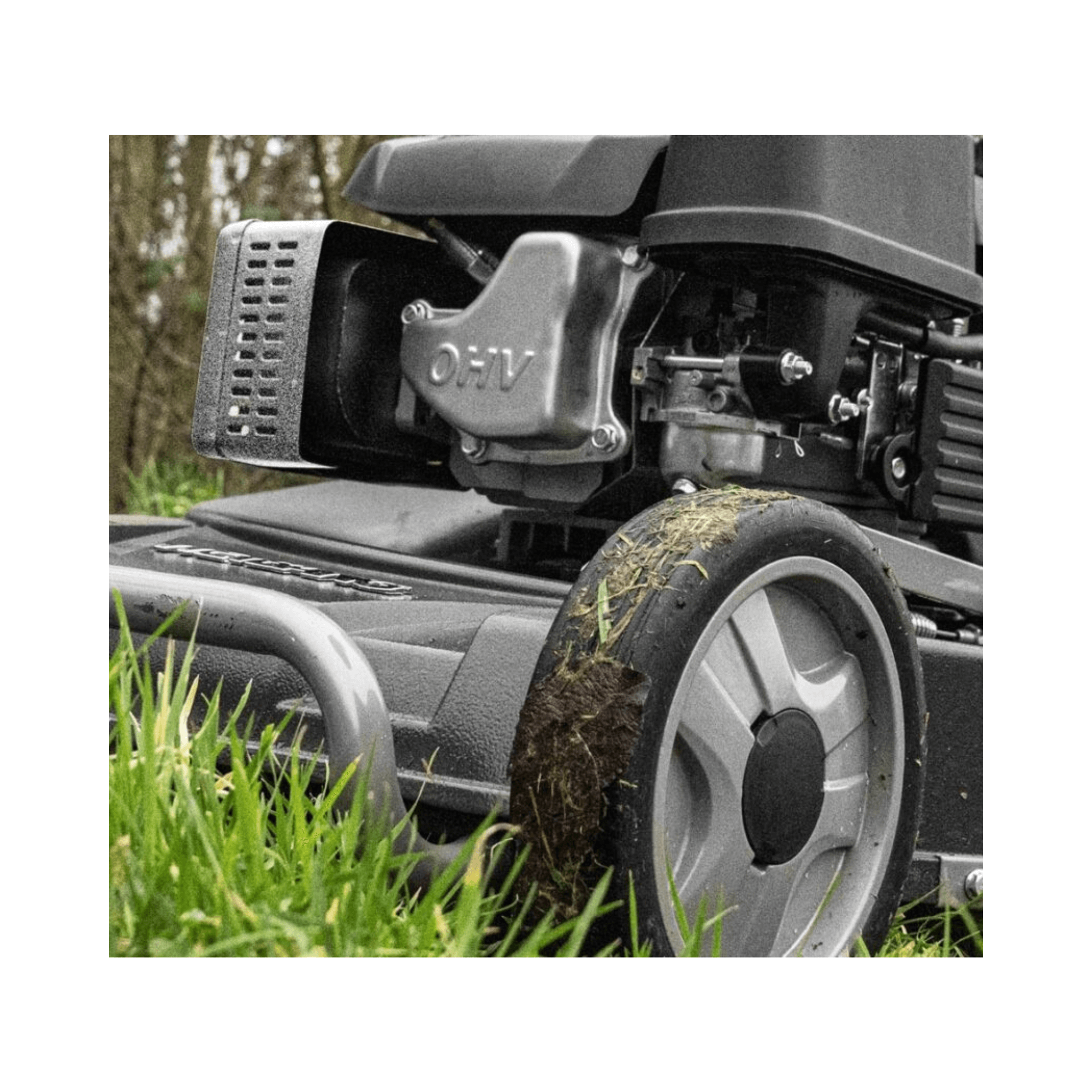 Close-up of WEIBANG Virtue 53 ASD LV Self Propelled Petrol Lawnmower engine and wheel design in grass.