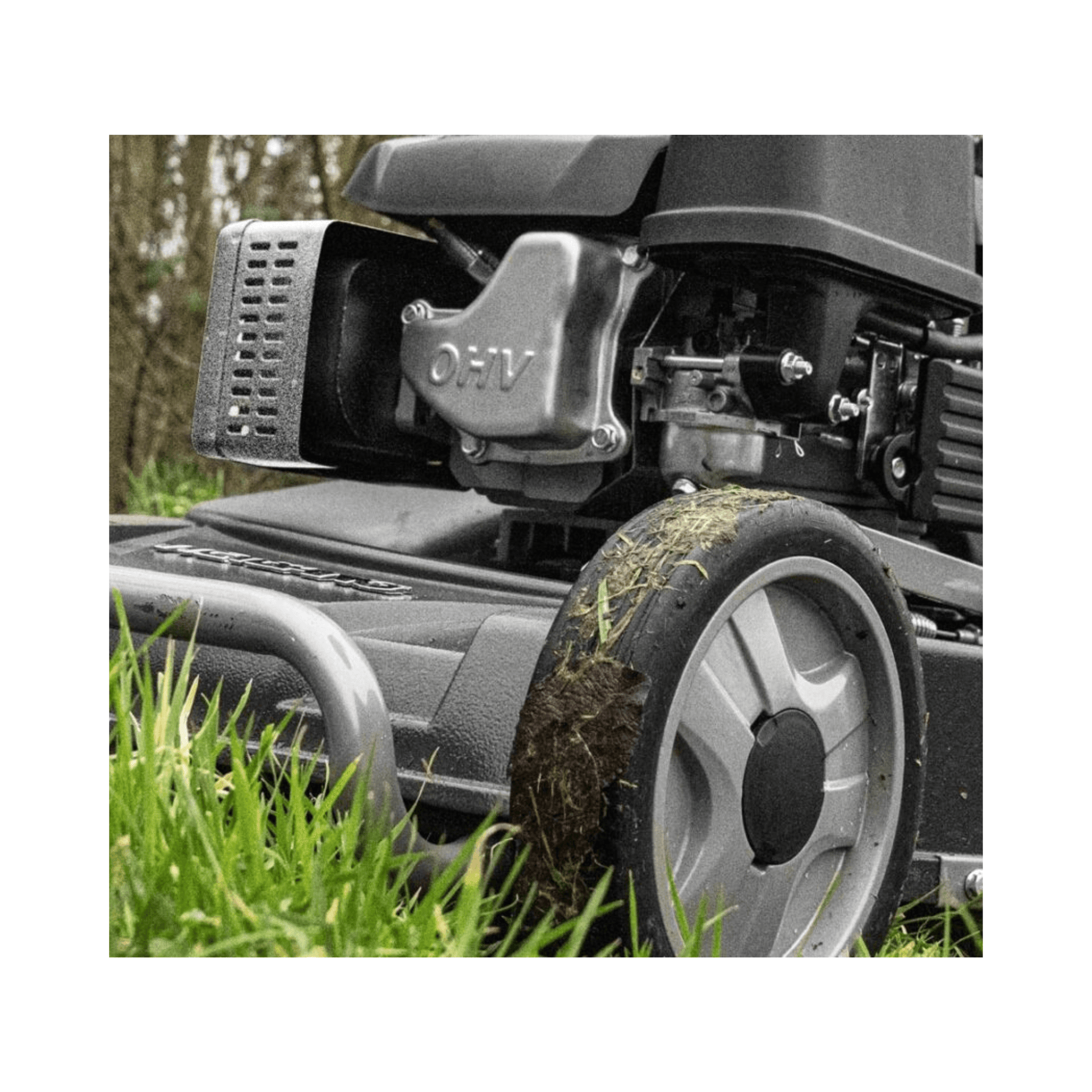 Close-up of WEIBANG Virtue 53 ASD LV Self Propelled Petrol Lawnmower engine and wheel design in grass.